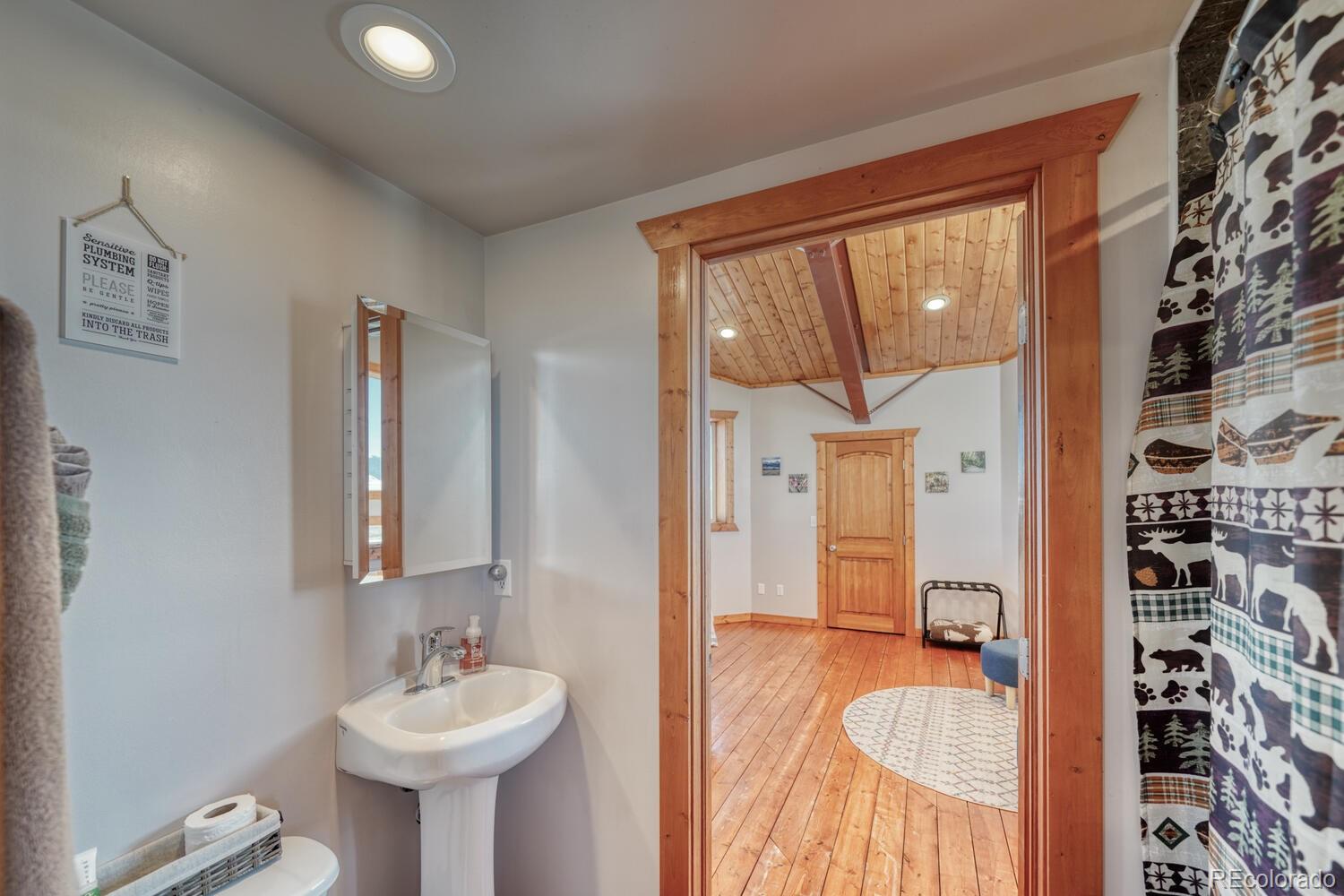 MLS Image #19 for 1001  beech boulevard,westcliffe, Colorado