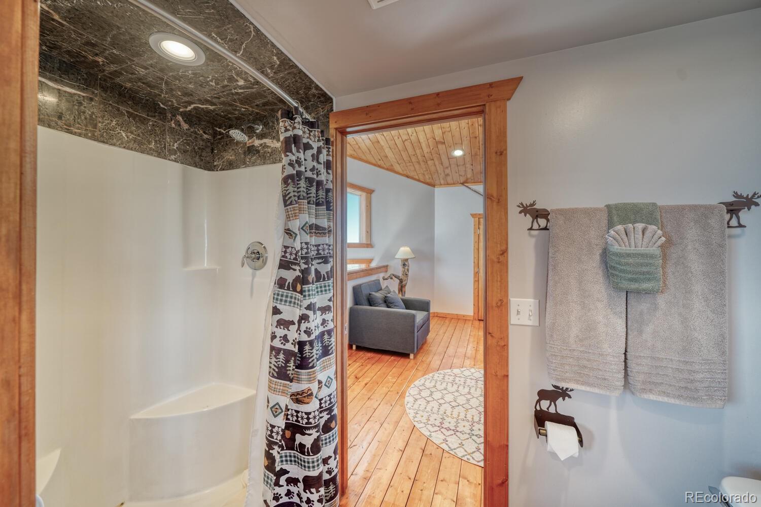 MLS Image #20 for 1001  beech boulevard,westcliffe, Colorado