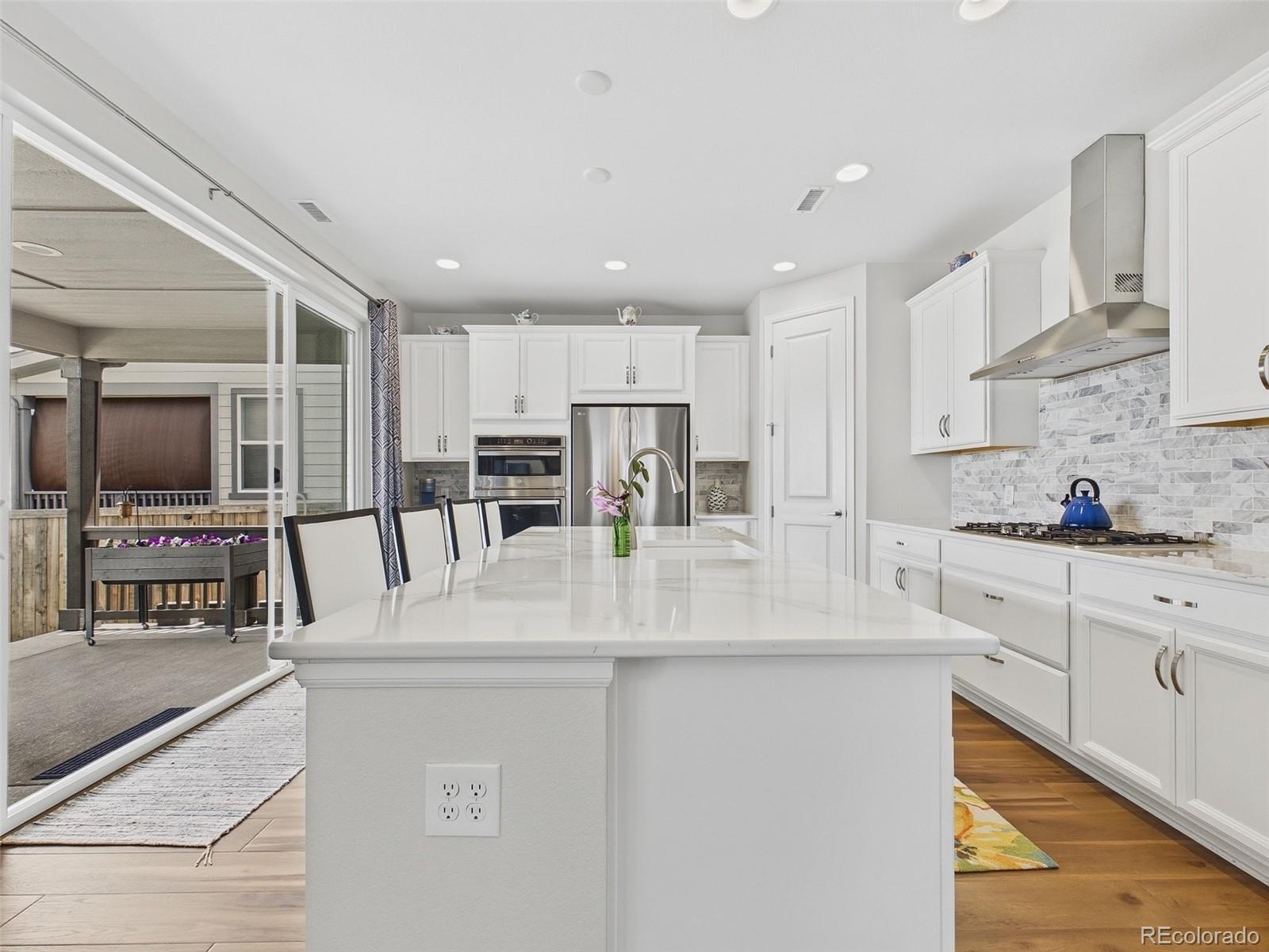 MLS Image #14 for 14260  hop clover trail,parker, Colorado