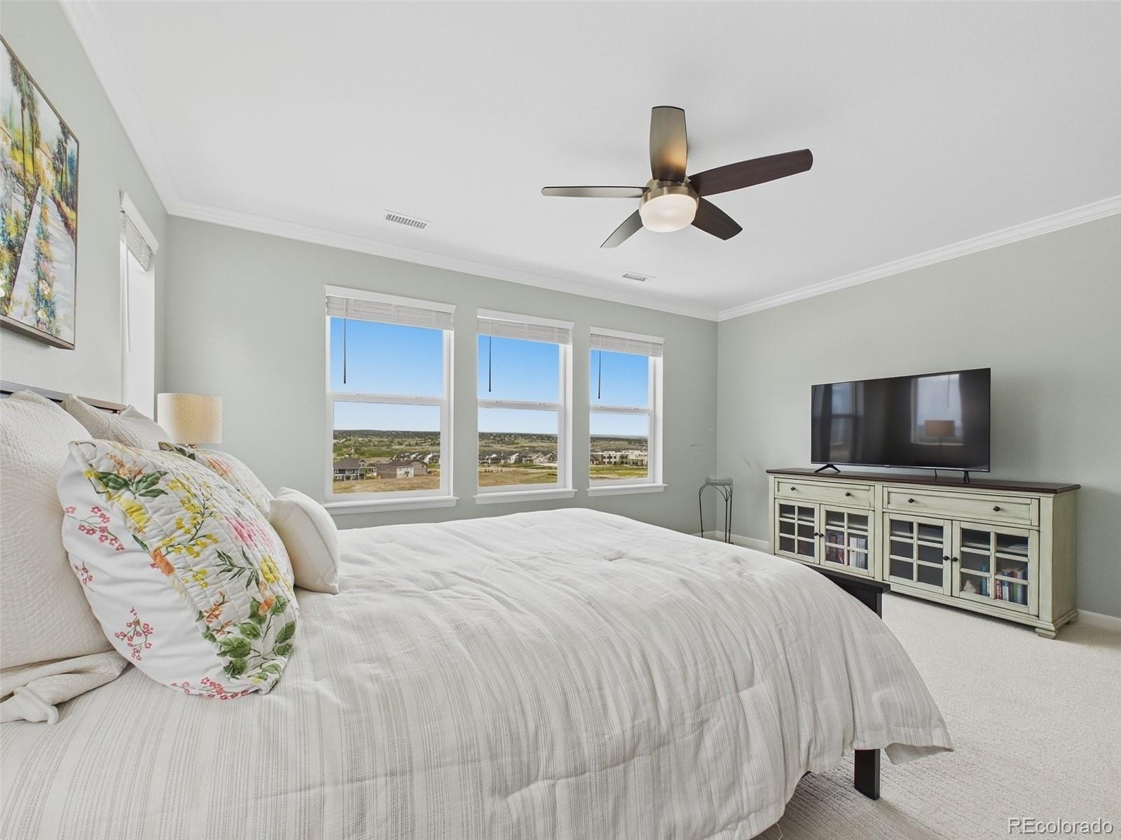MLS Image #35 for 14260  hop clover trail,parker, Colorado