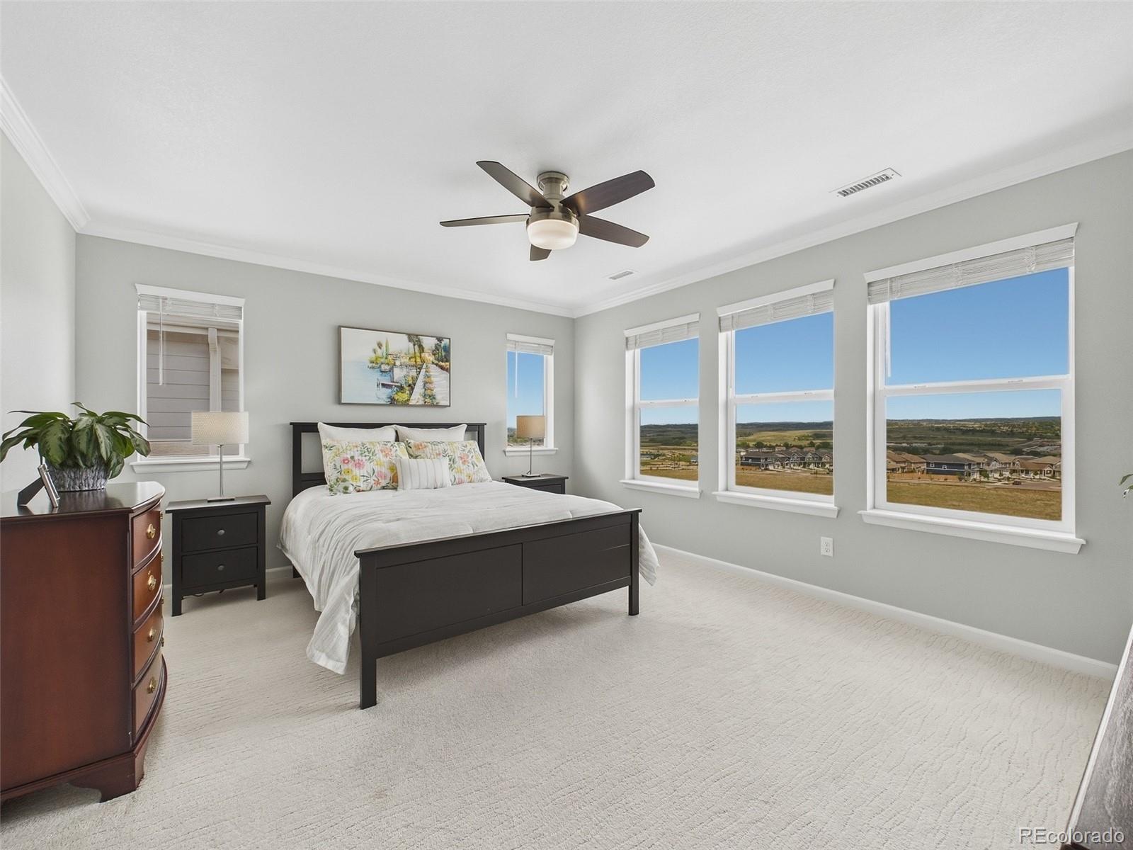 MLS Image #36 for 14260  hop clover trail,parker, Colorado