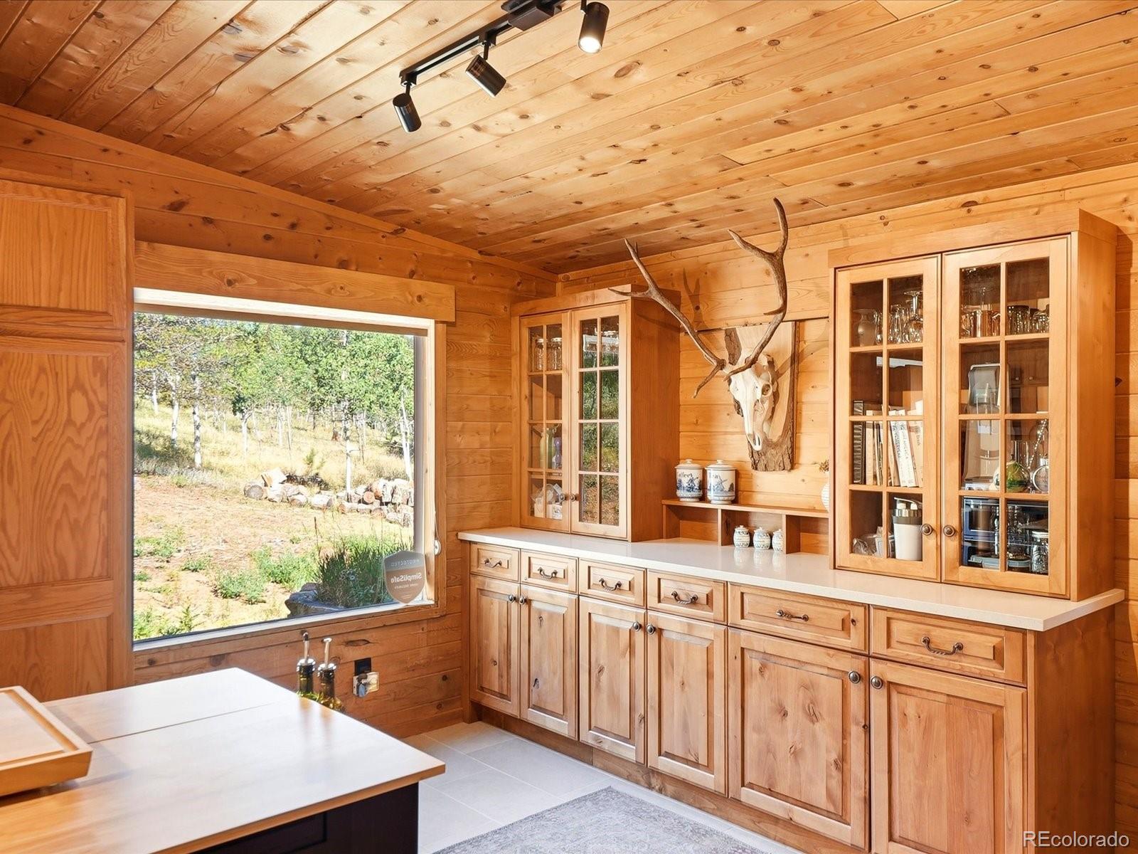 MLS Image #10 for 277  timbertop road,bailey, Colorado
