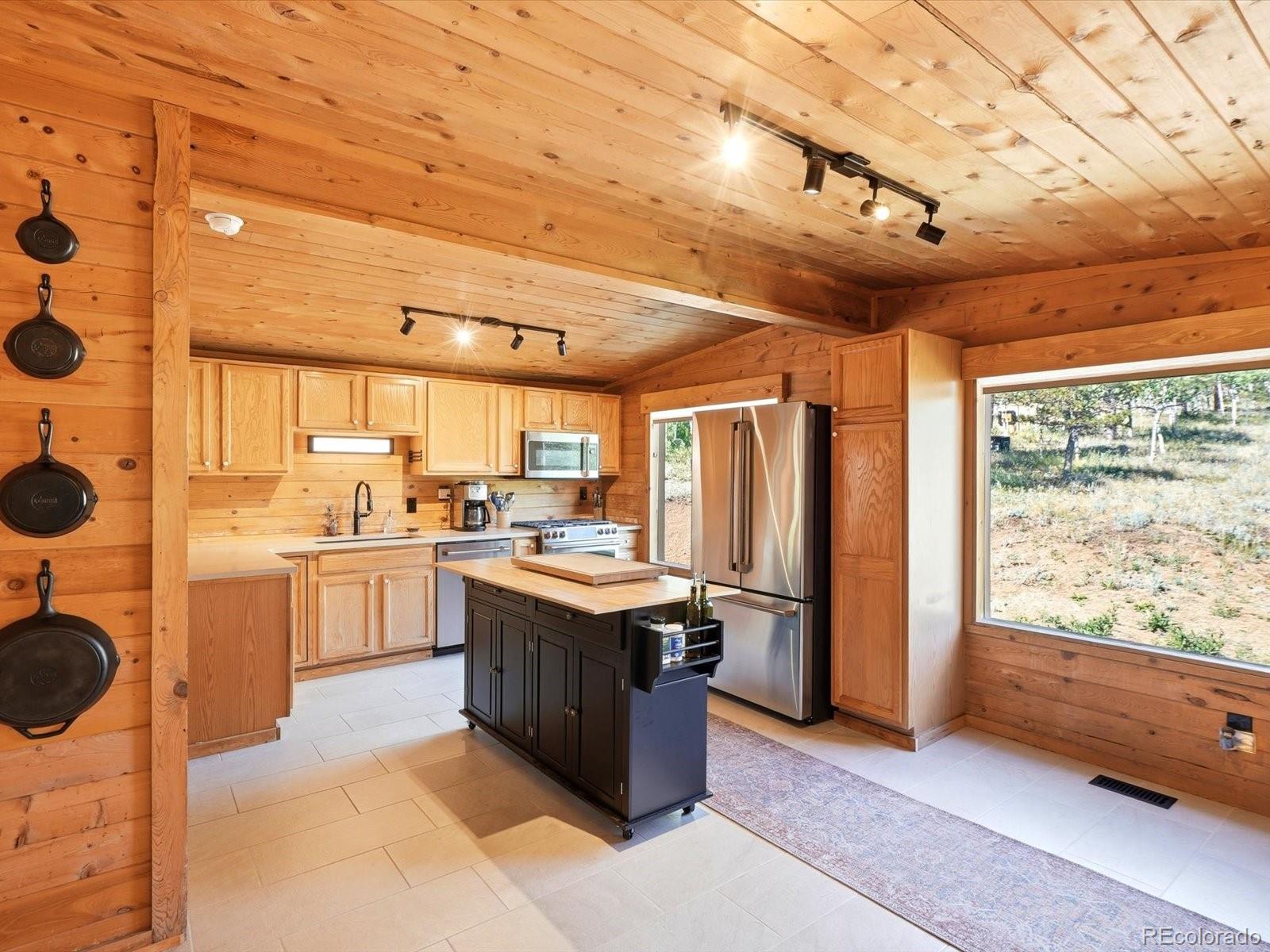 MLS Image #11 for 277  timbertop road,bailey, Colorado
