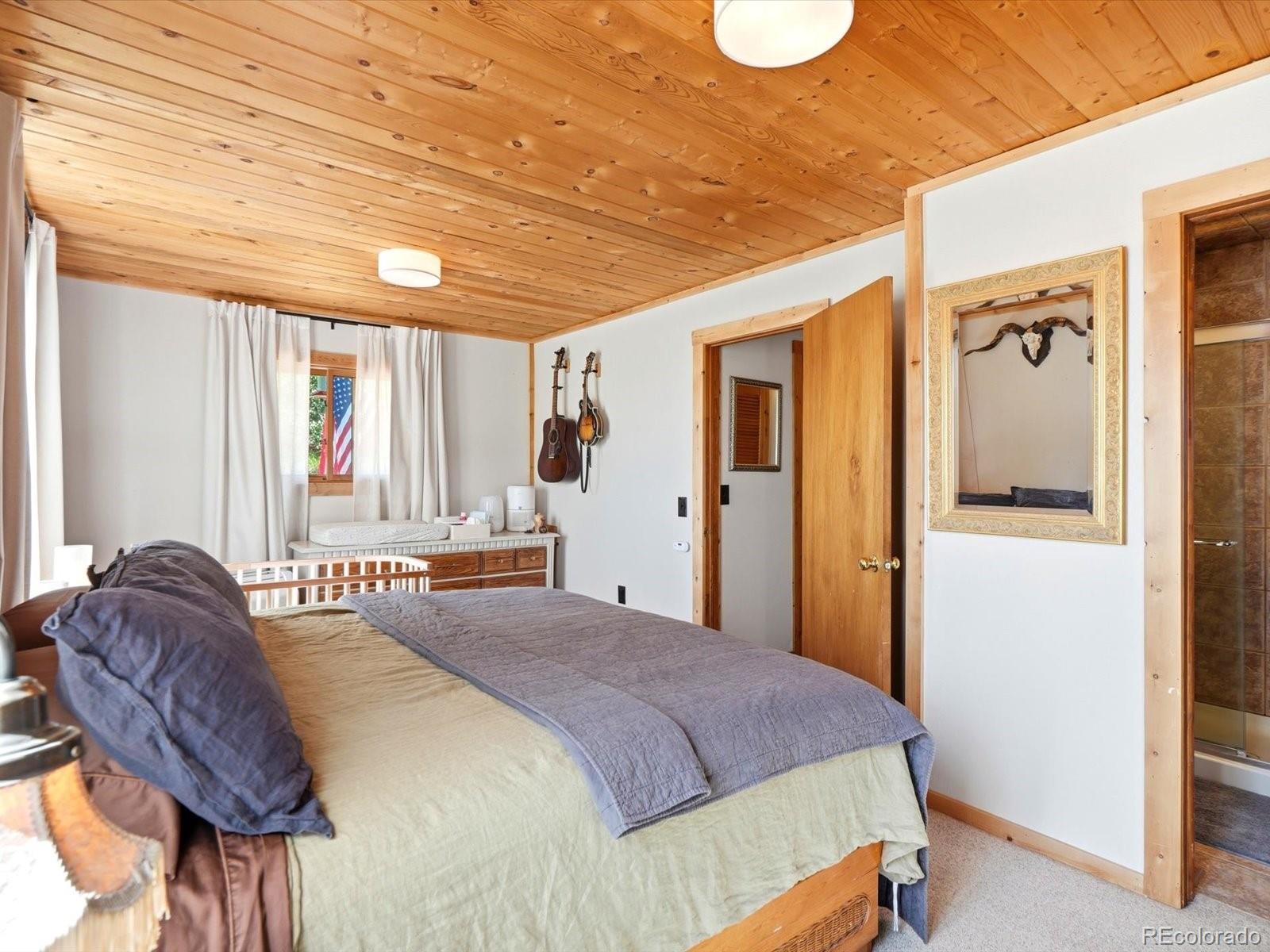 MLS Image #16 for 277  timbertop road,bailey, Colorado