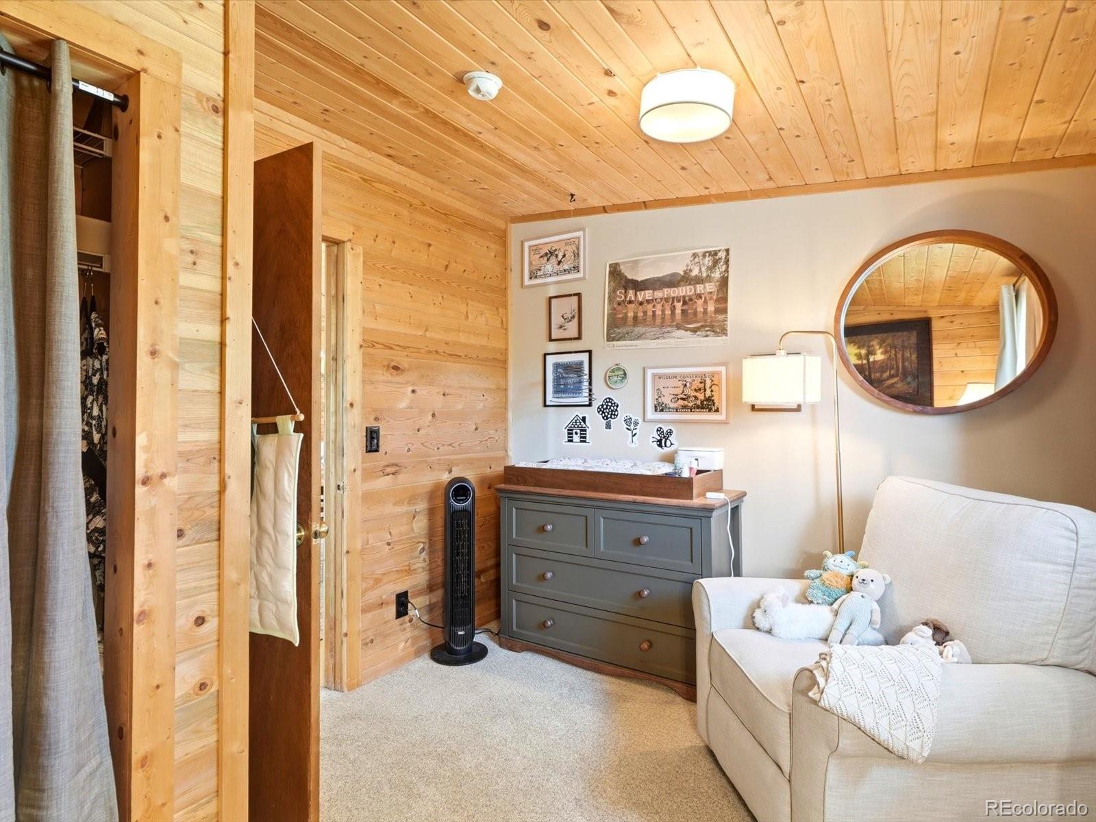 MLS Image #19 for 277  timbertop road,bailey, Colorado