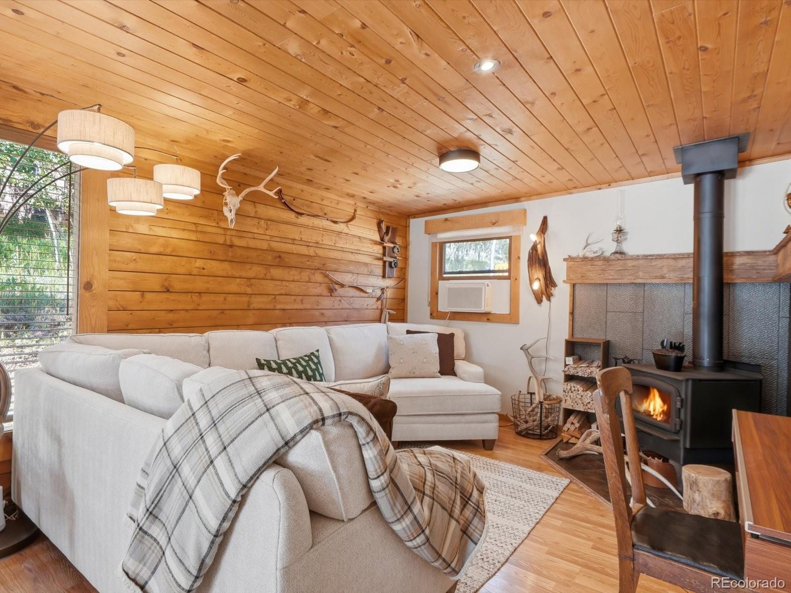 MLS Image #7 for 277  timbertop road,bailey, Colorado