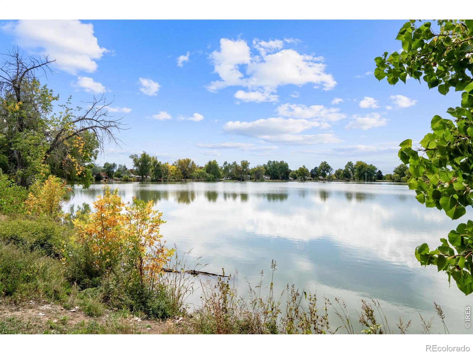 MLS Image #44 for 1331  bellaire street,broomfield, Colorado
