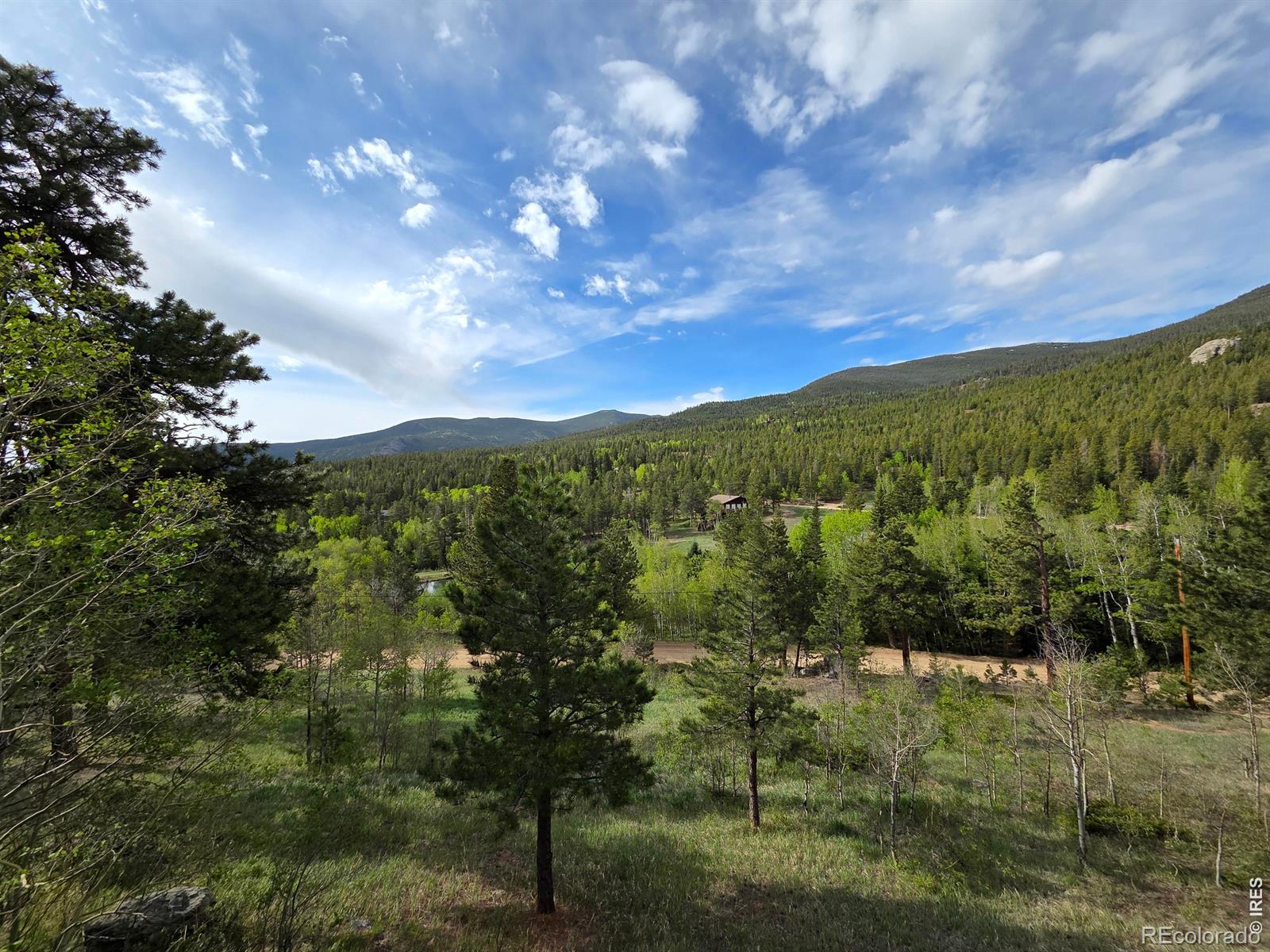 MLS Image #11 for 328 n skinner road,allenspark, Colorado