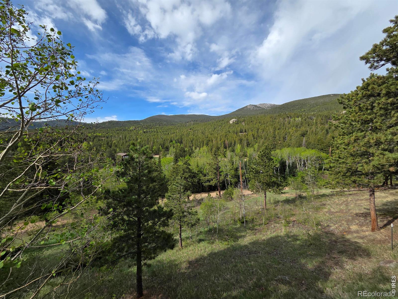 MLS Image #12 for 328 n skinner road,allenspark, Colorado