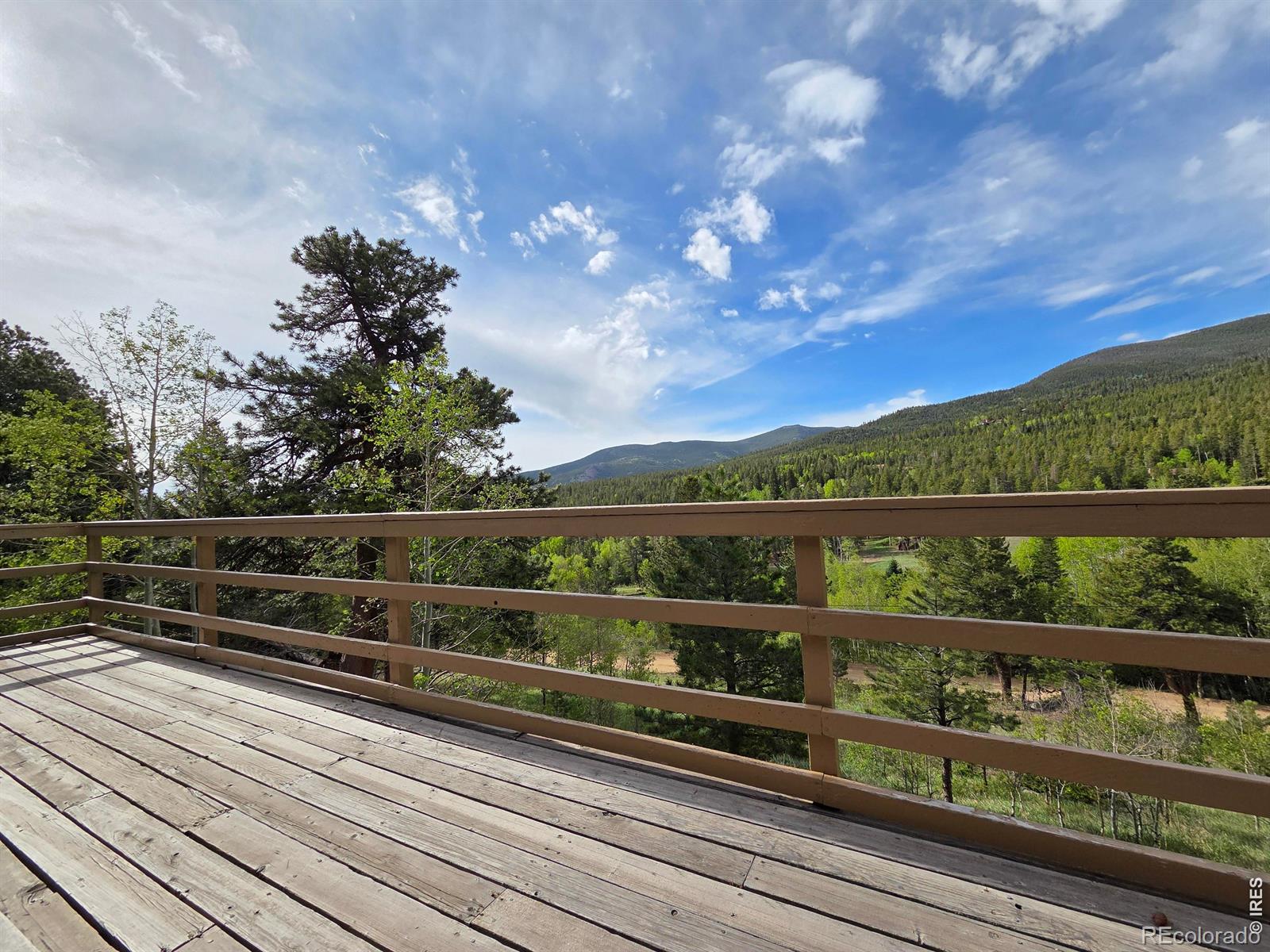 MLS Image #13 for 328 n skinner road,allenspark, Colorado
