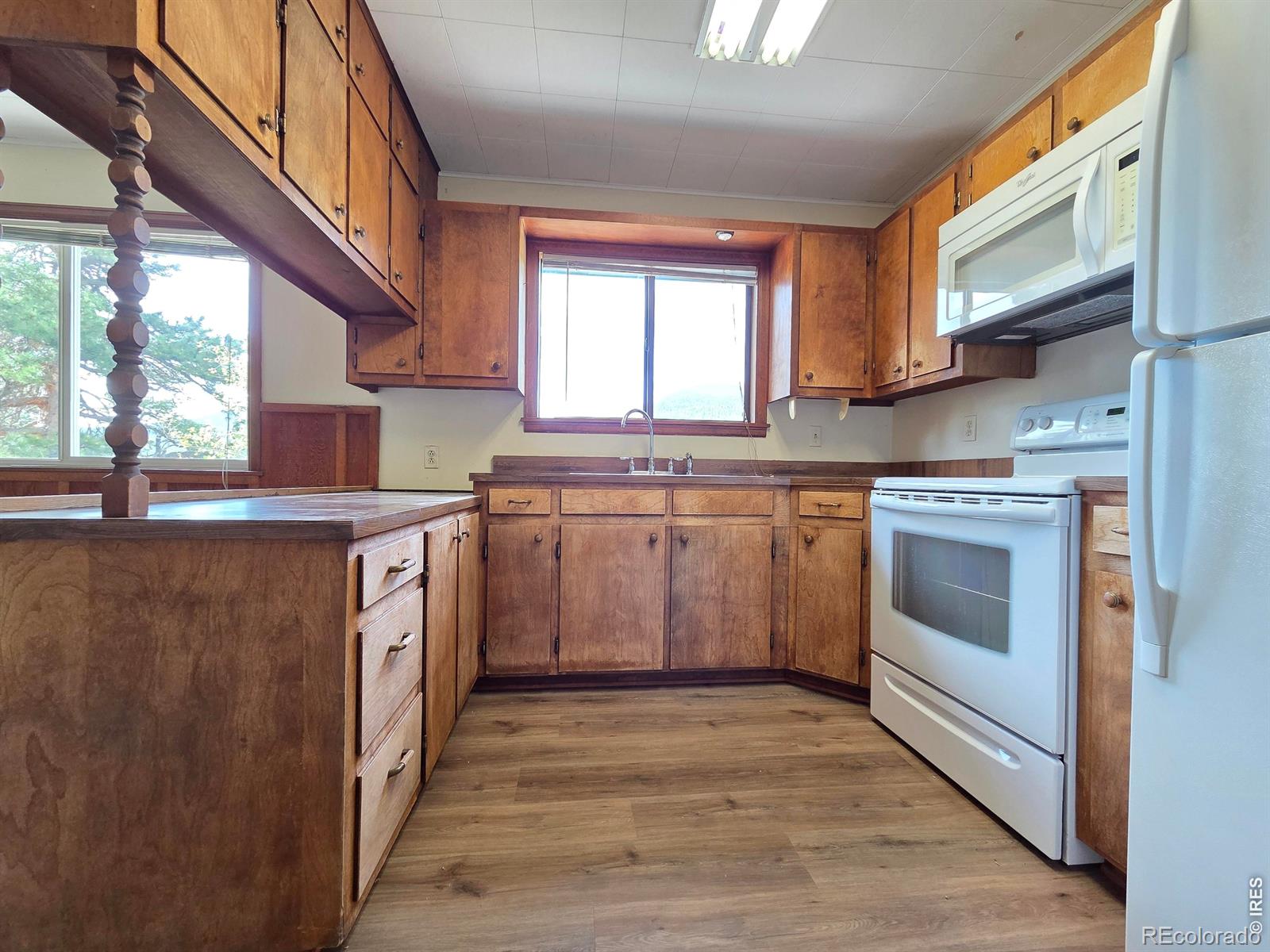 MLS Image #14 for 328 n skinner road,allenspark, Colorado