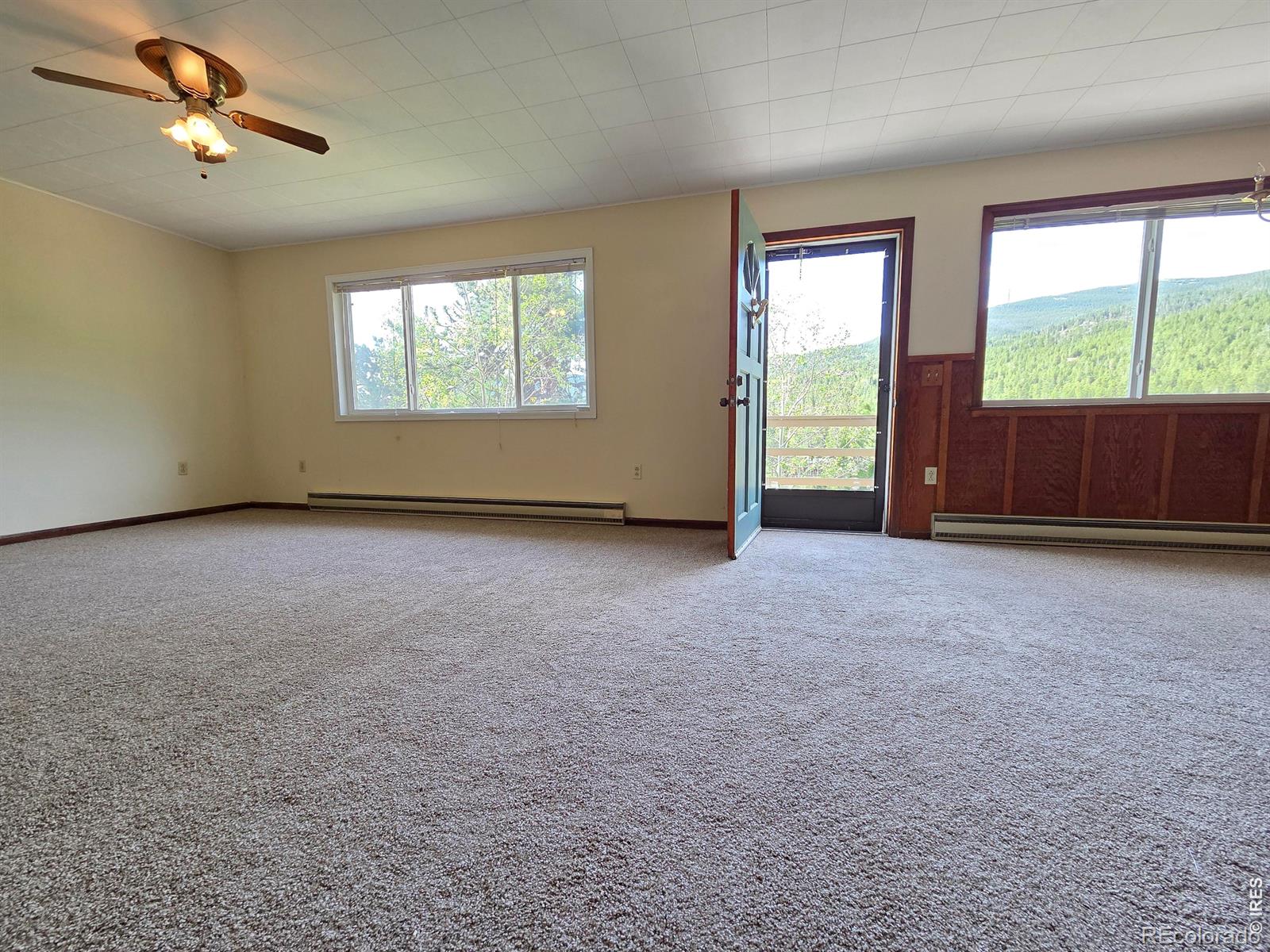 MLS Image #17 for 328 n skinner road,allenspark, Colorado