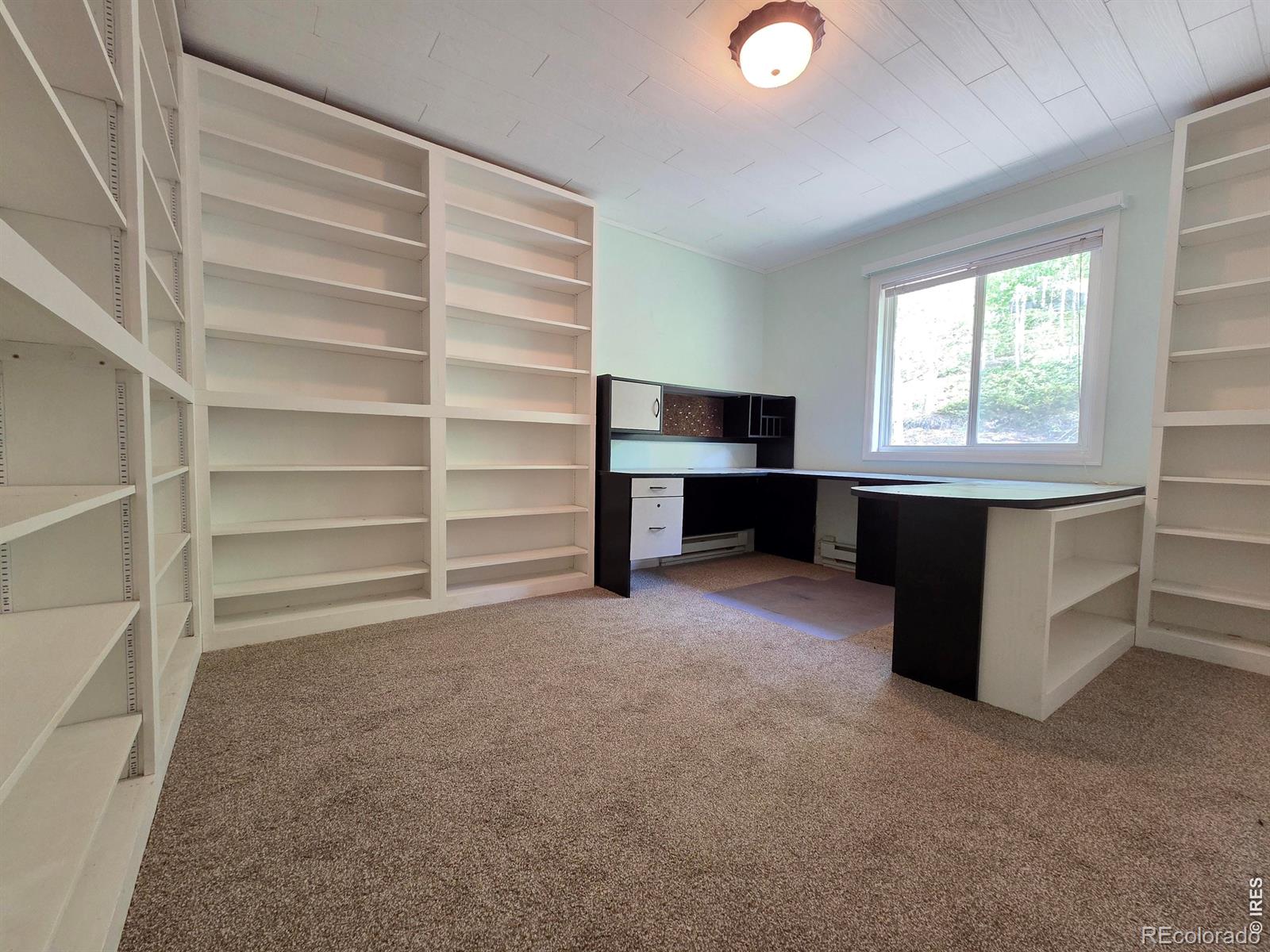 MLS Image #19 for 328 n skinner road,allenspark, Colorado