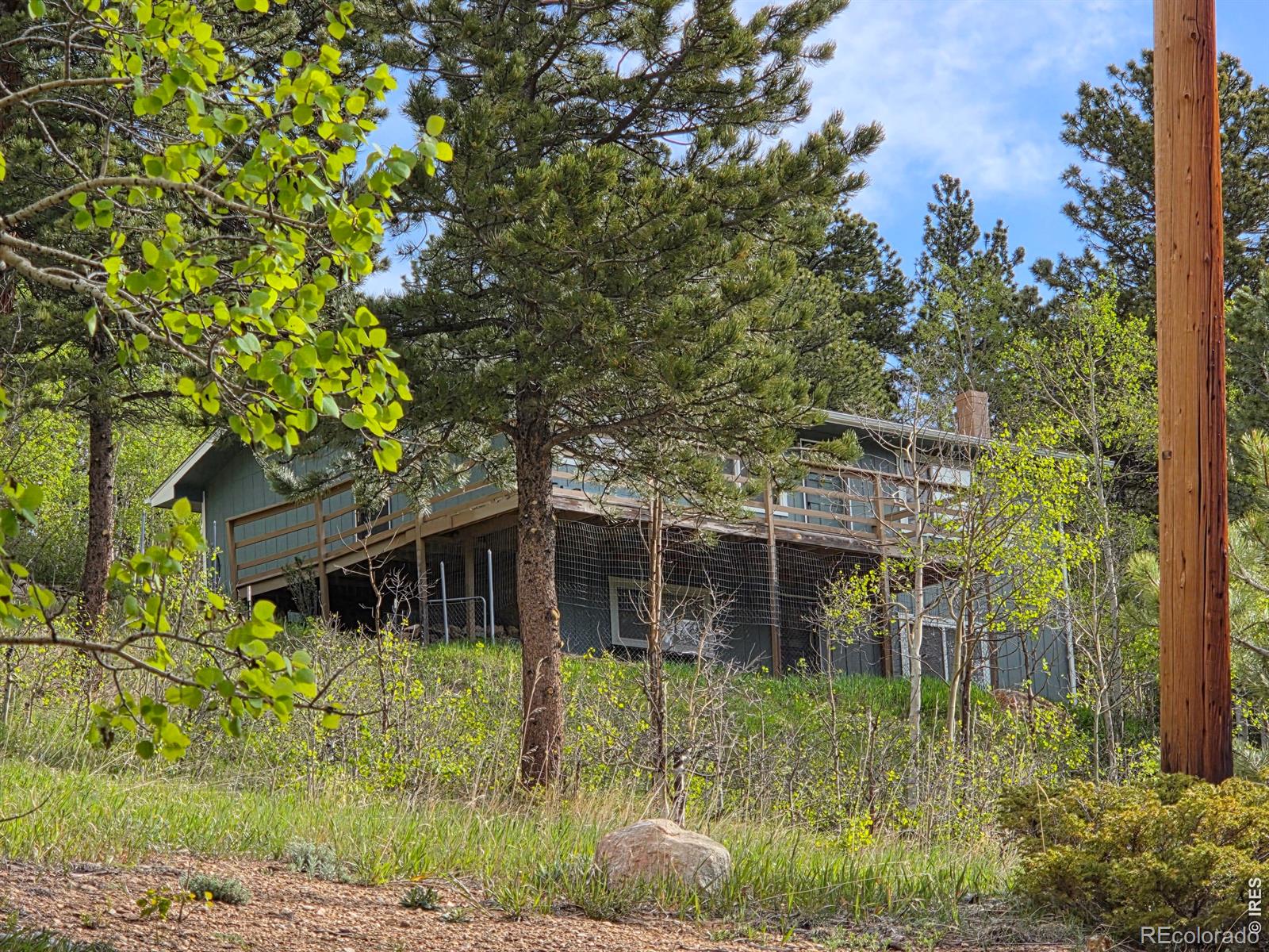 MLS Image #2 for 328 n skinner road,allenspark, Colorado