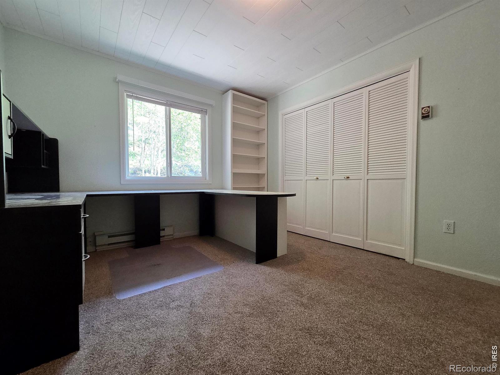 MLS Image #20 for 328 n skinner road,allenspark, Colorado