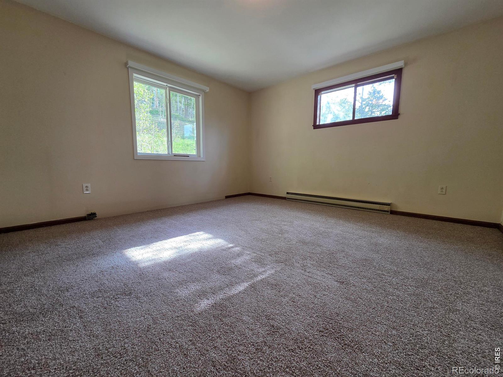 MLS Image #23 for 328 n skinner road,allenspark, Colorado