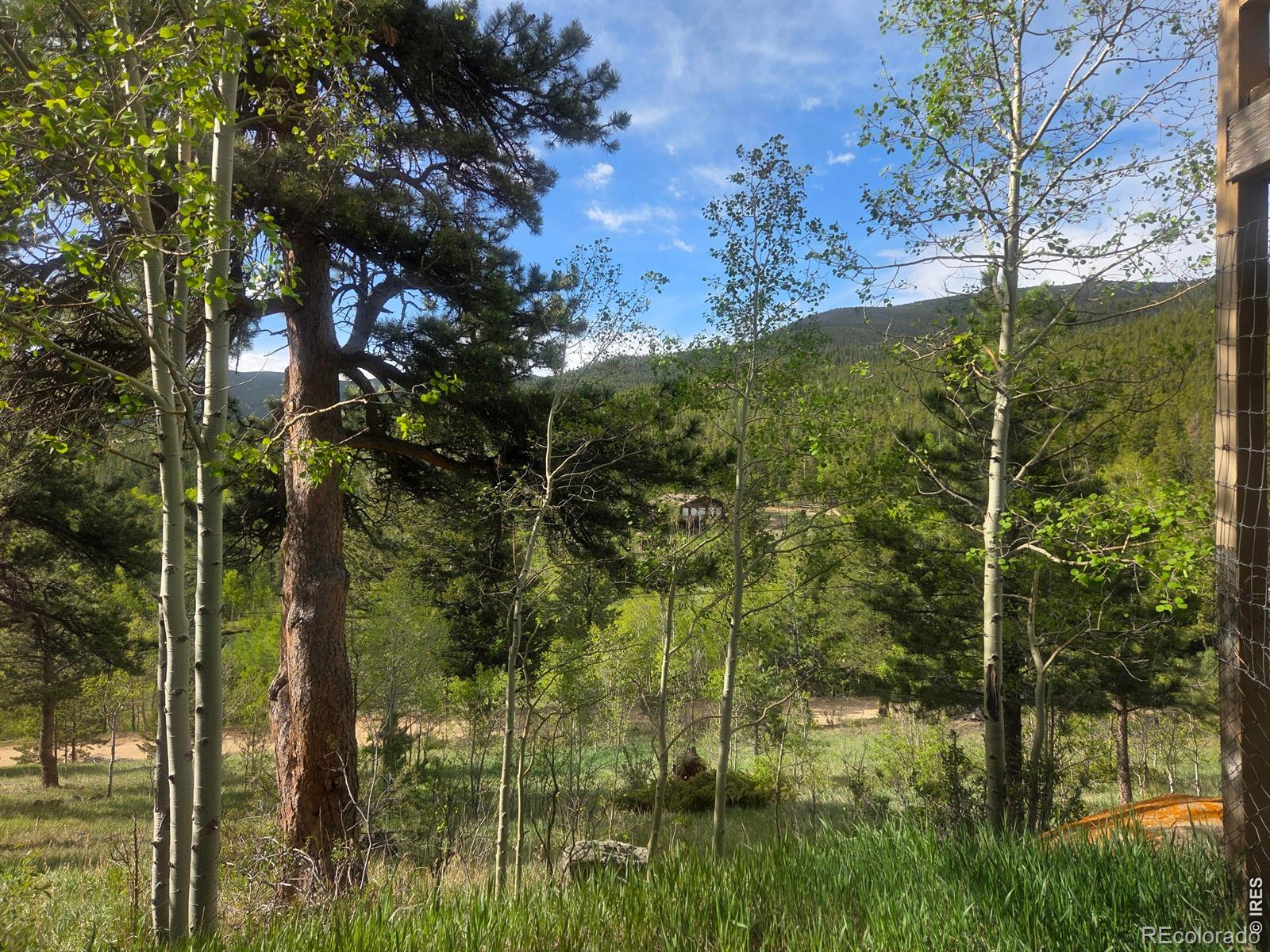 MLS Image #25 for 328 n skinner road,allenspark, Colorado