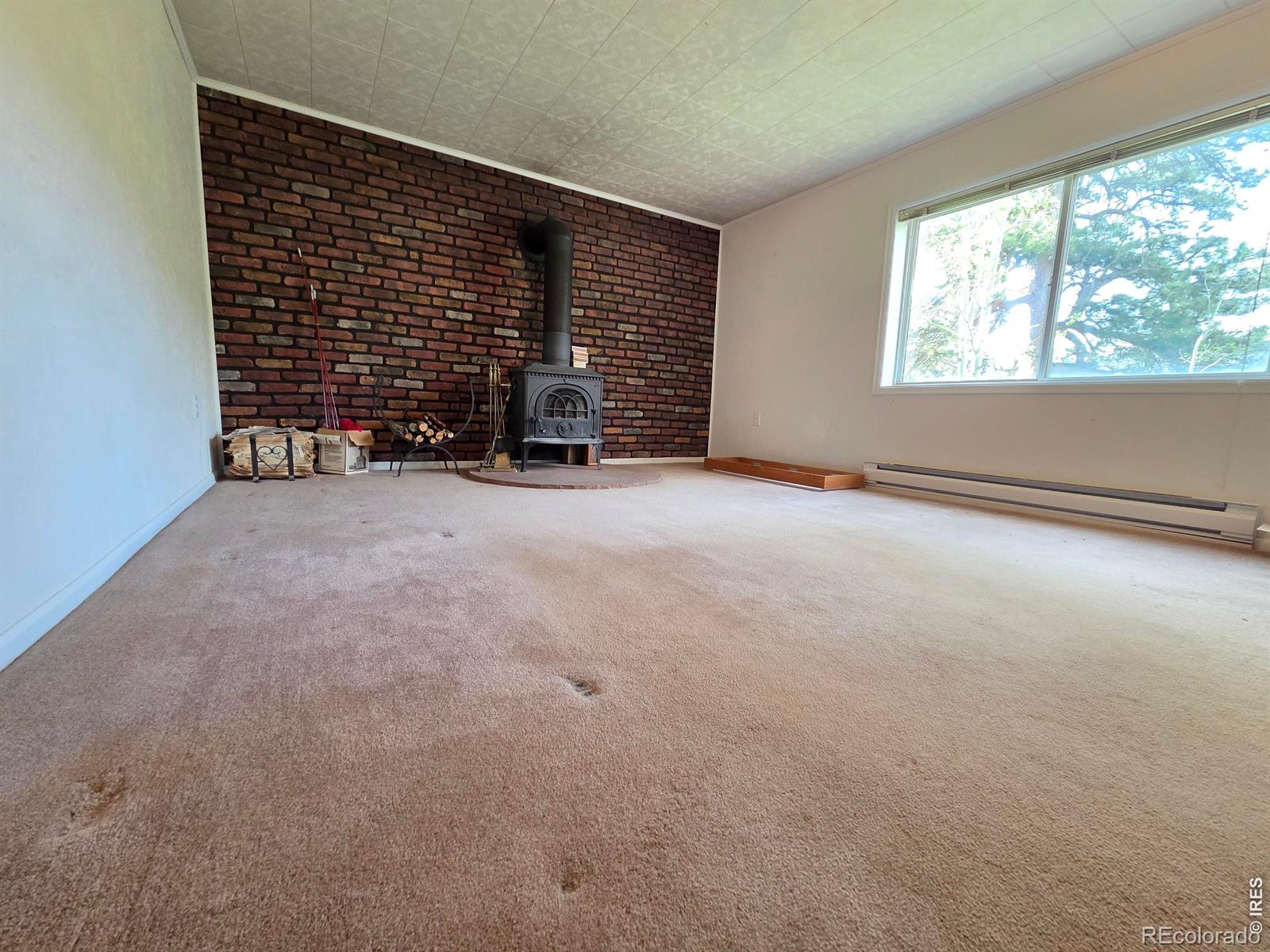 MLS Image #28 for 328 n skinner road,allenspark, Colorado