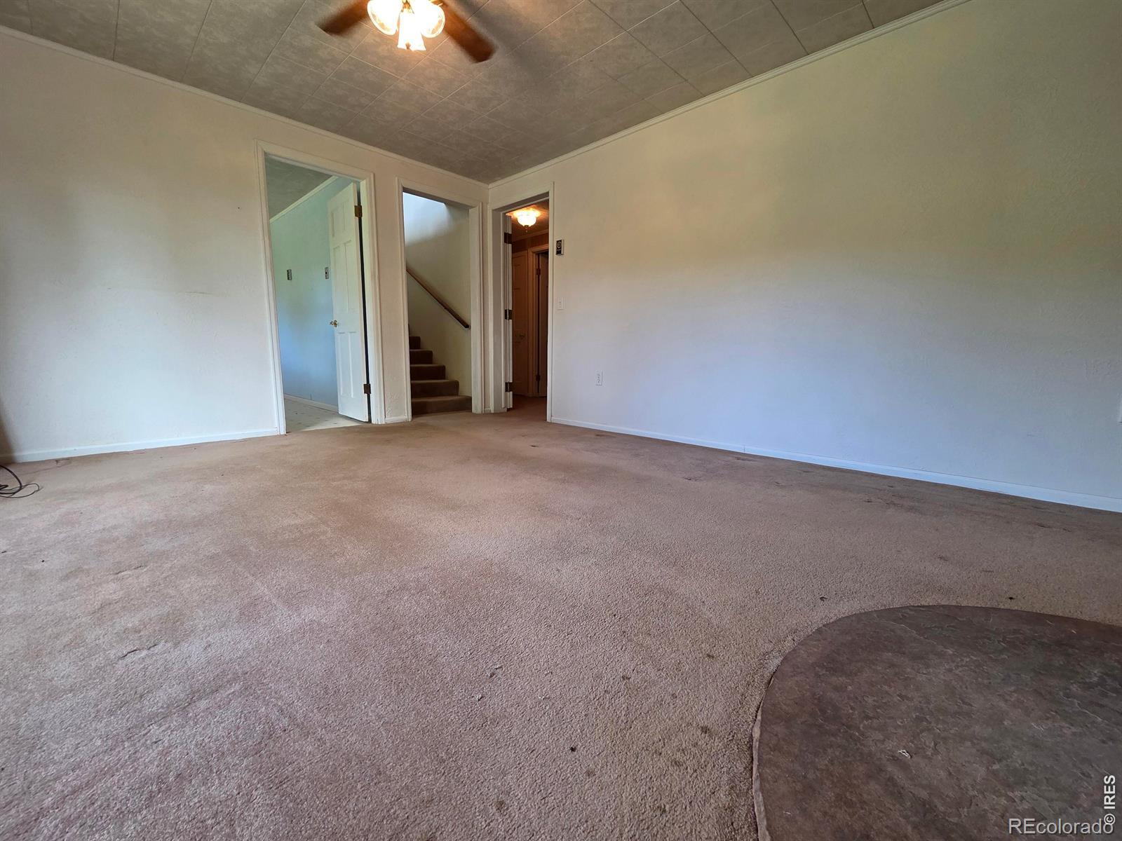 MLS Image #29 for 328 n skinner road,allenspark, Colorado