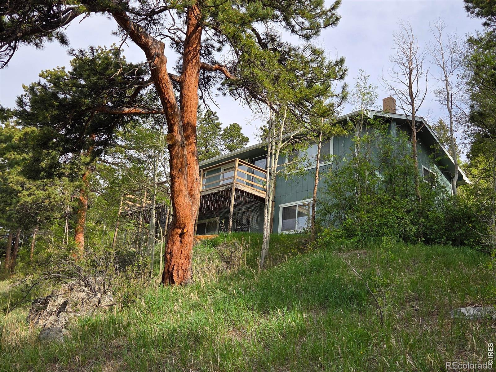 MLS Image #4 for 328 n skinner road,allenspark, Colorado