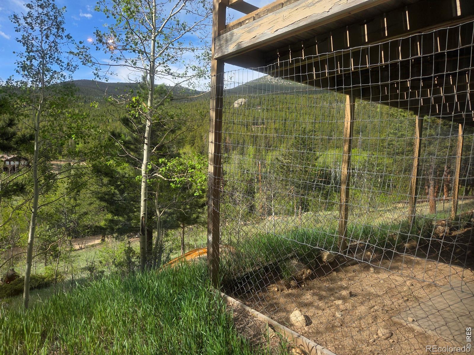 MLS Image #40 for 328 n skinner road,allenspark, Colorado