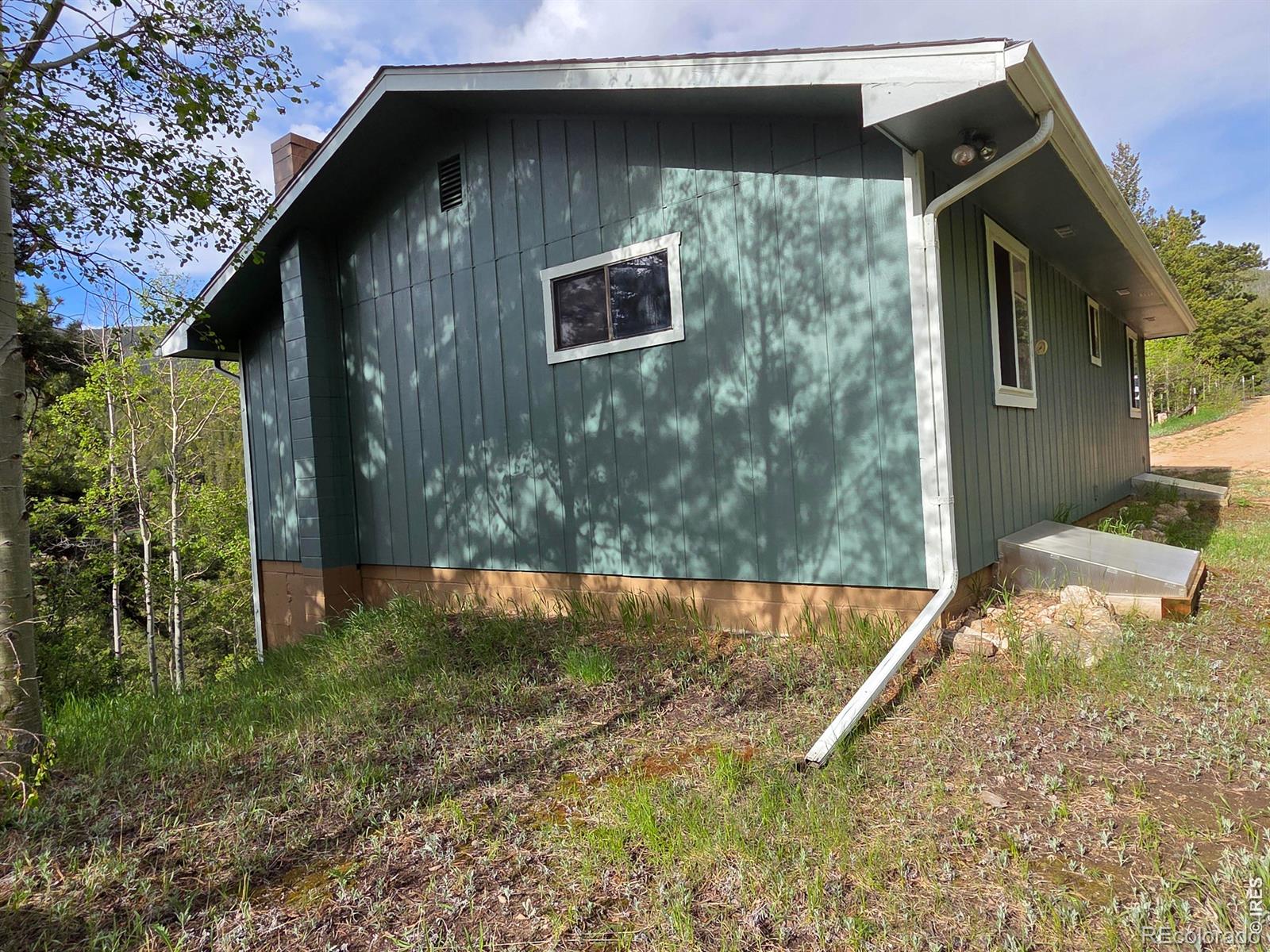 MLS Image #8 for 328 n skinner road,allenspark, Colorado