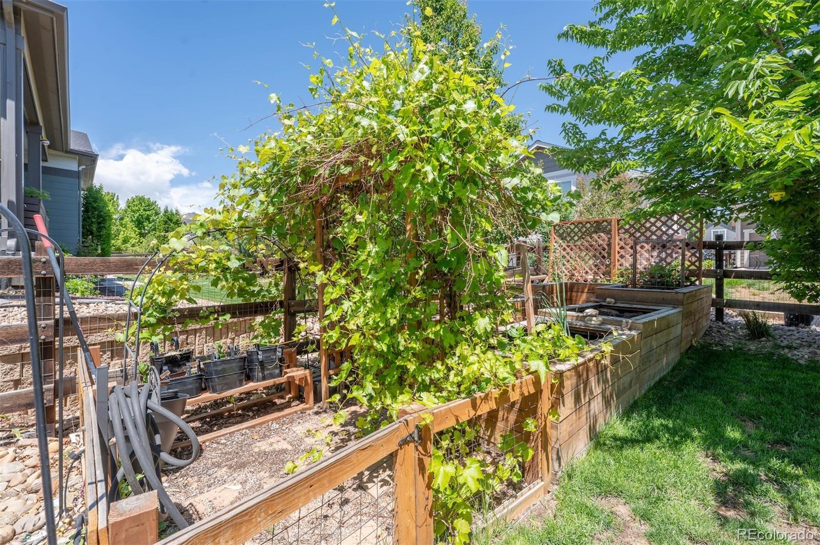 MLS Image #41 for 4593  colorado river drive,longmont, Colorado
