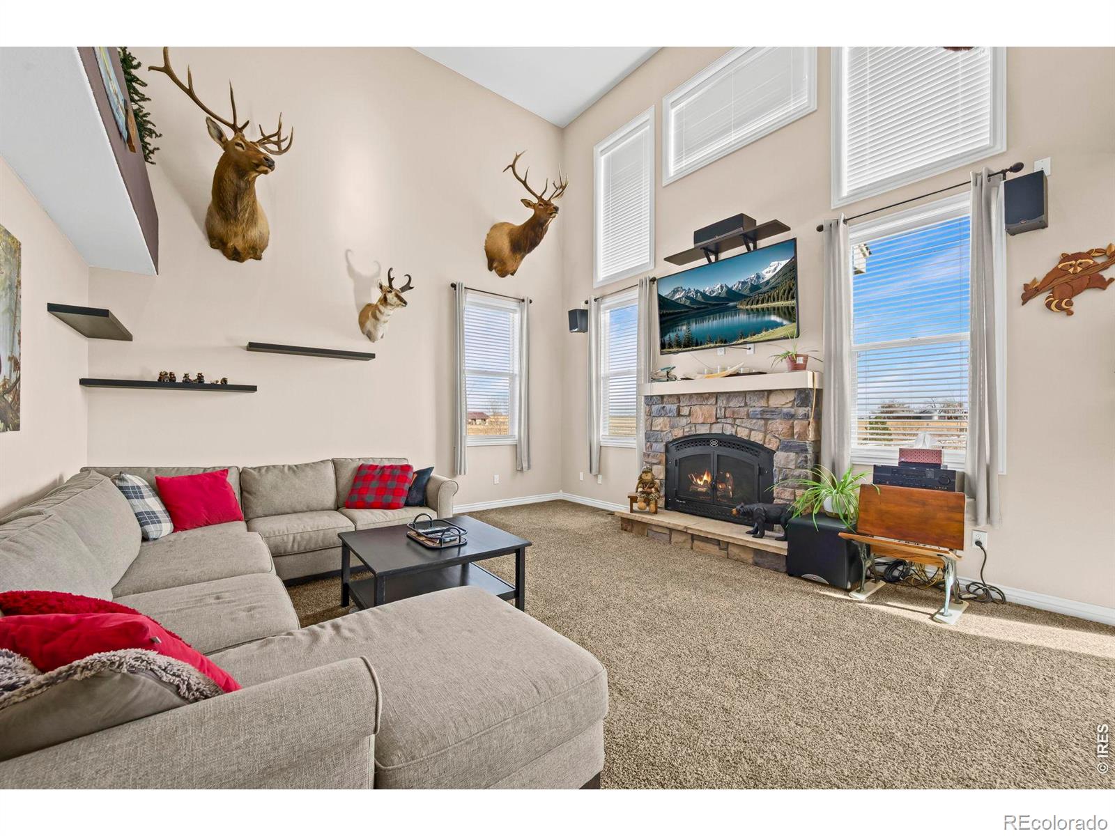 MLS Image #14 for 1302  park ridge drive,eaton, Colorado