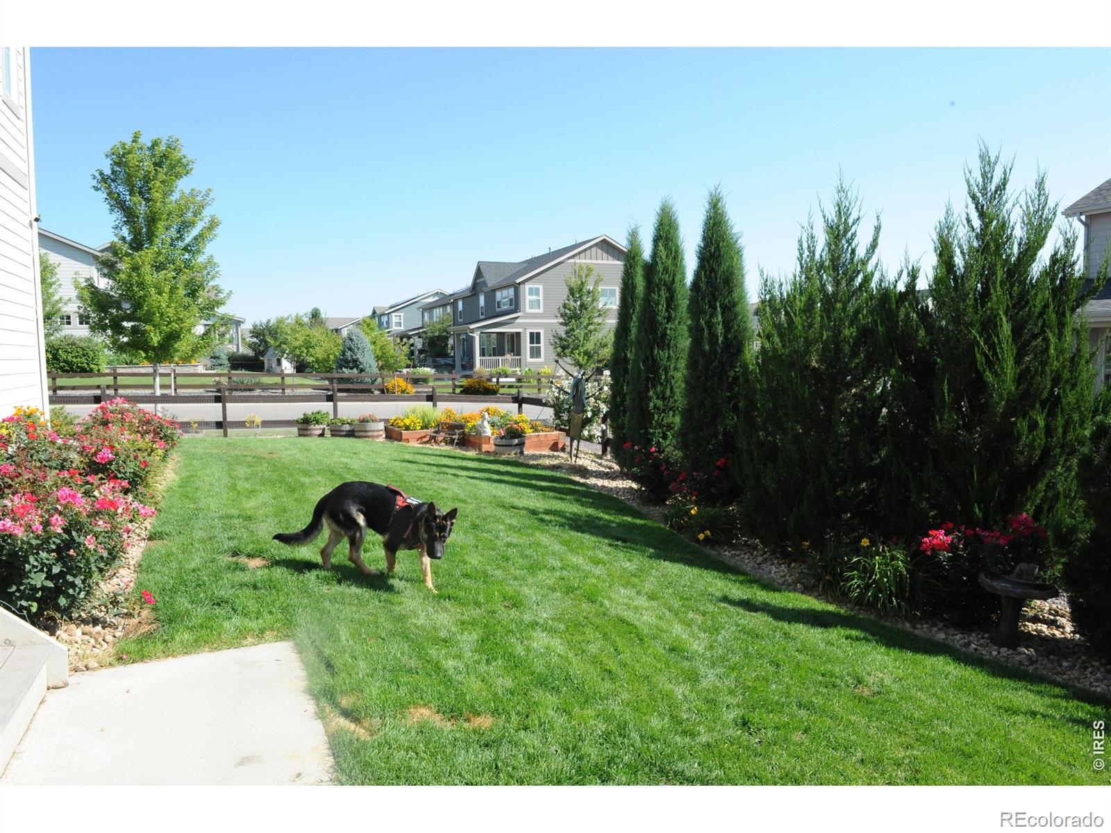 MLS Image #5 for 955  grenville circle,erie, Colorado