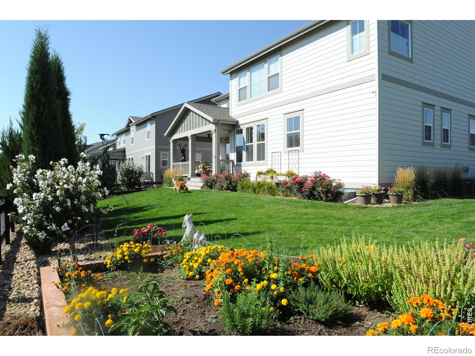MLS Image #6 for 955  grenville circle,erie, Colorado