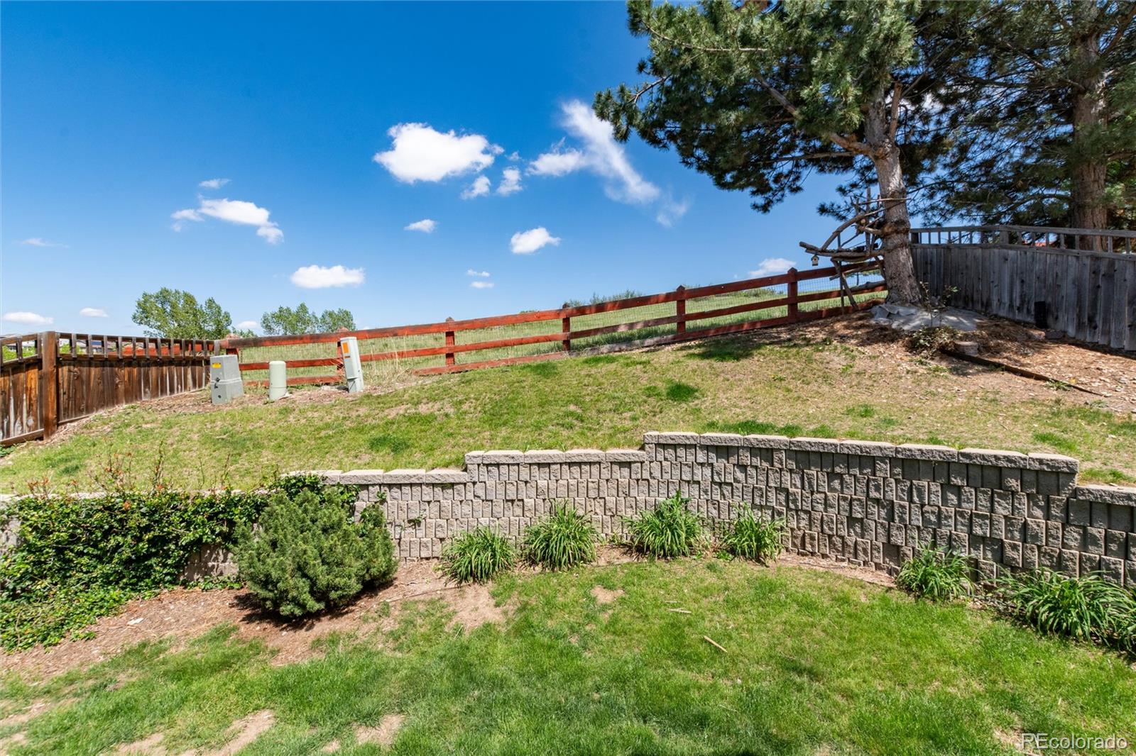 MLS Image #38 for 3920  sunridge terrace drive,castle rock, Colorado