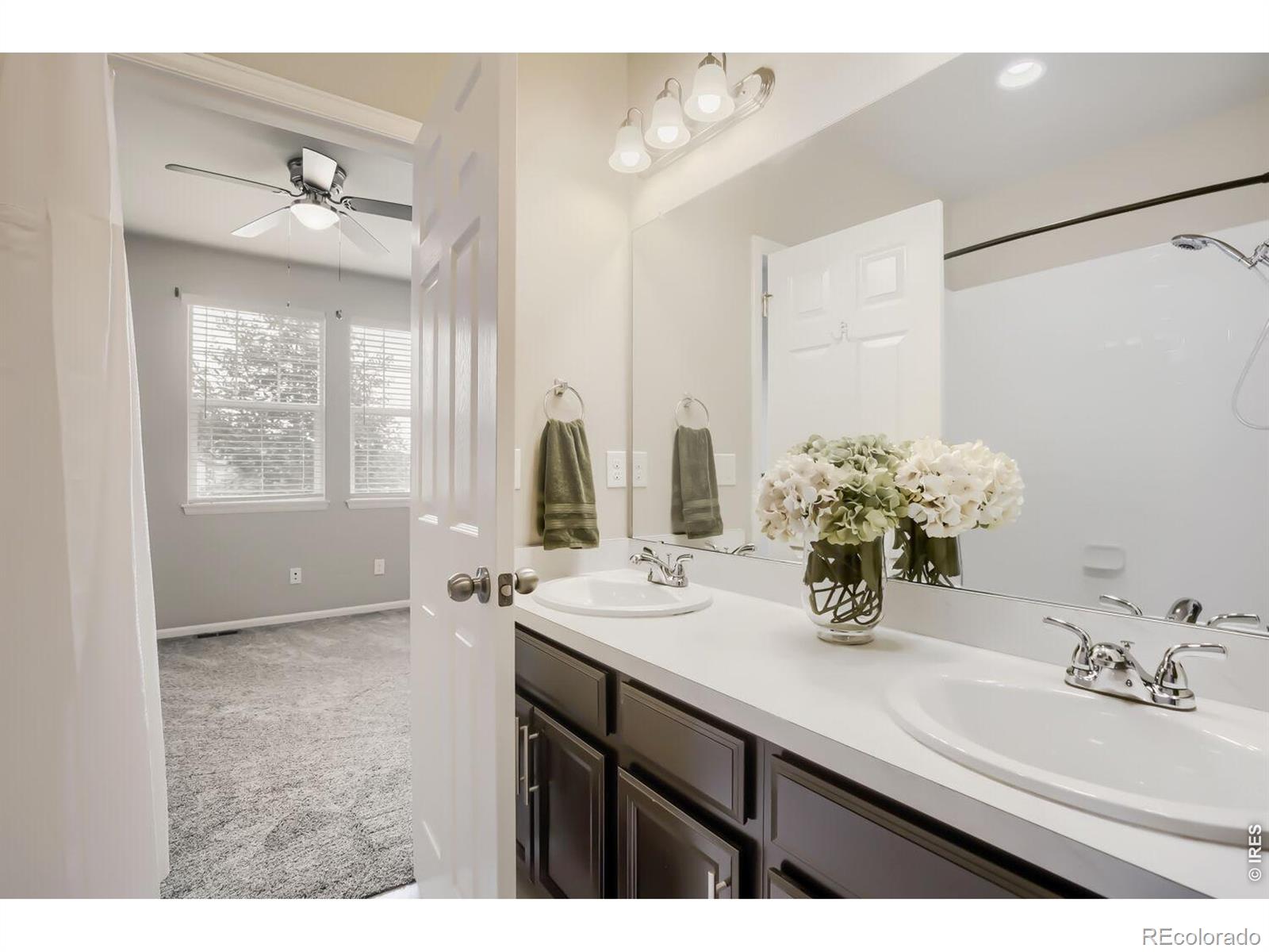 MLS Image #13 for 5107  odessa lake street,timnath, Colorado