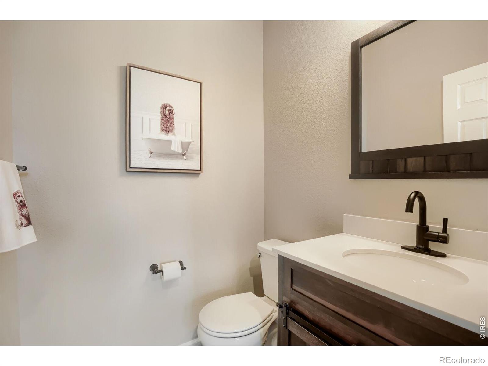 MLS Image #14 for 5107  odessa lake street,timnath, Colorado