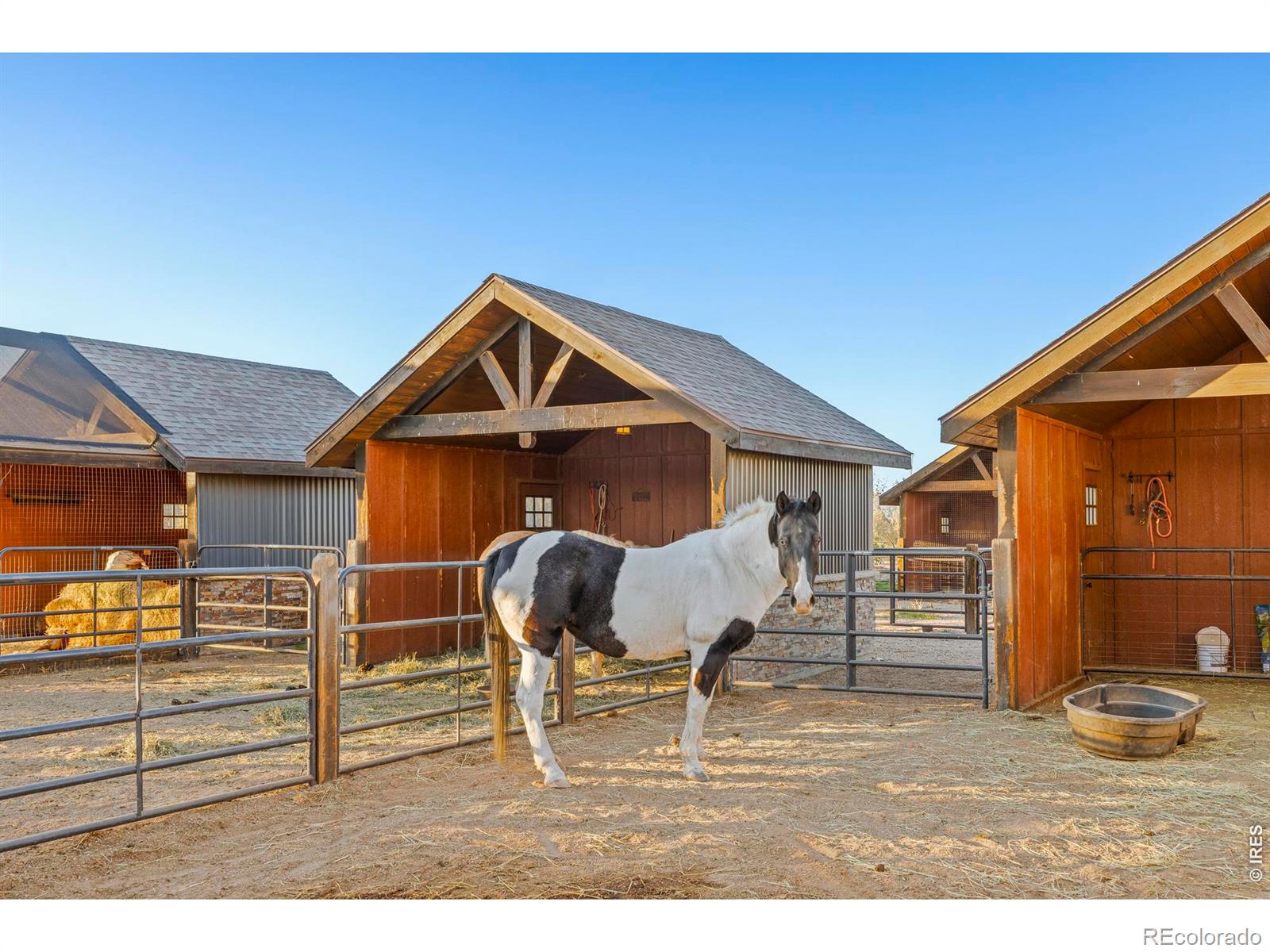 MLS Image #44 for 9816  county road 7 road,longmont, Colorado