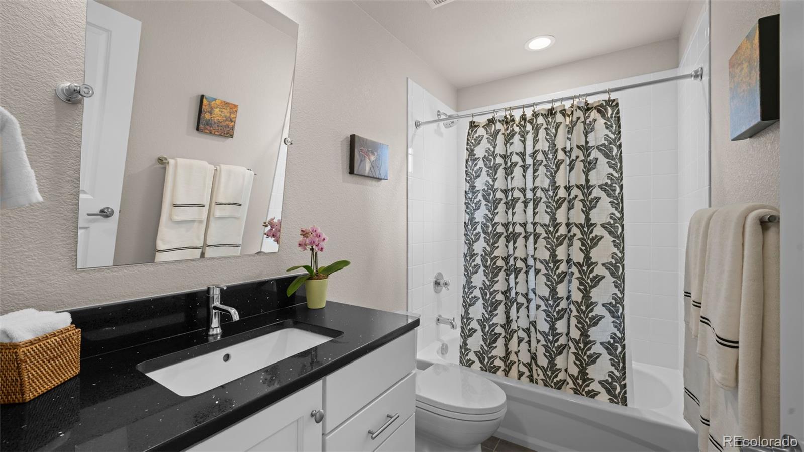 MLS Image #5 for 10355  rifle falls way,colorado springs, Colorado
