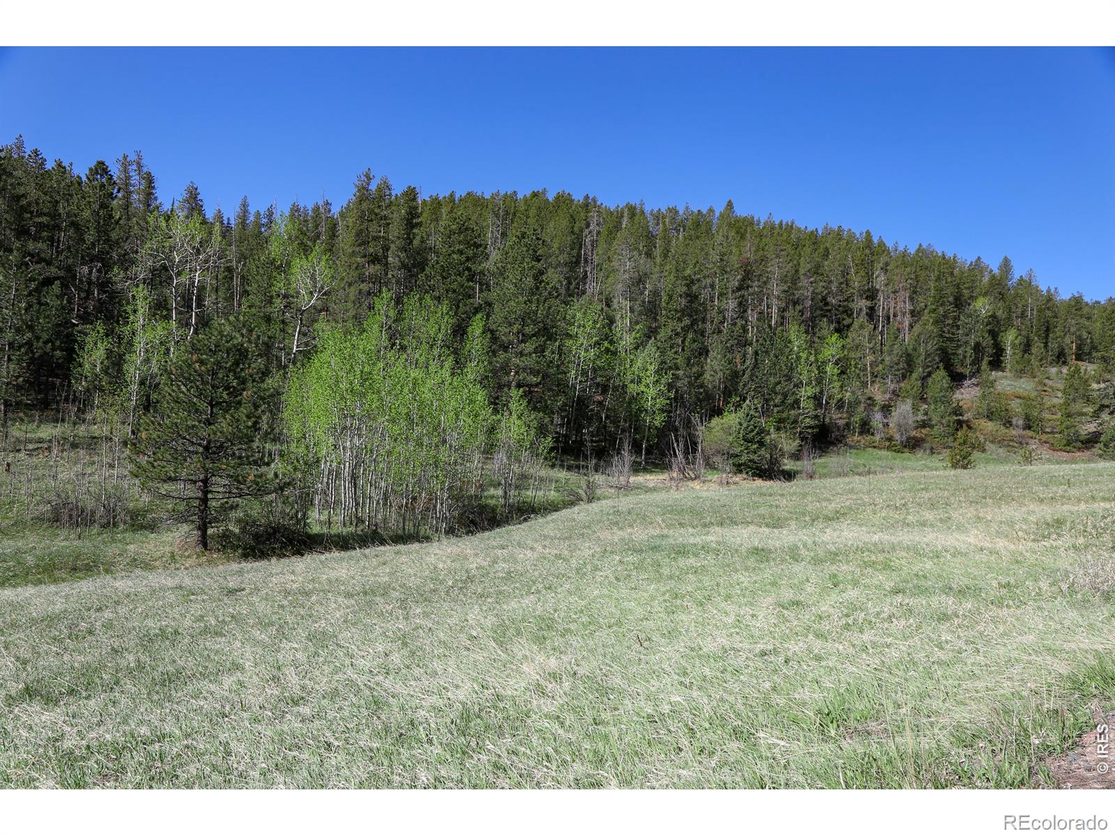 MLS Image #26 for 2900  pole hill road,estes park, Colorado