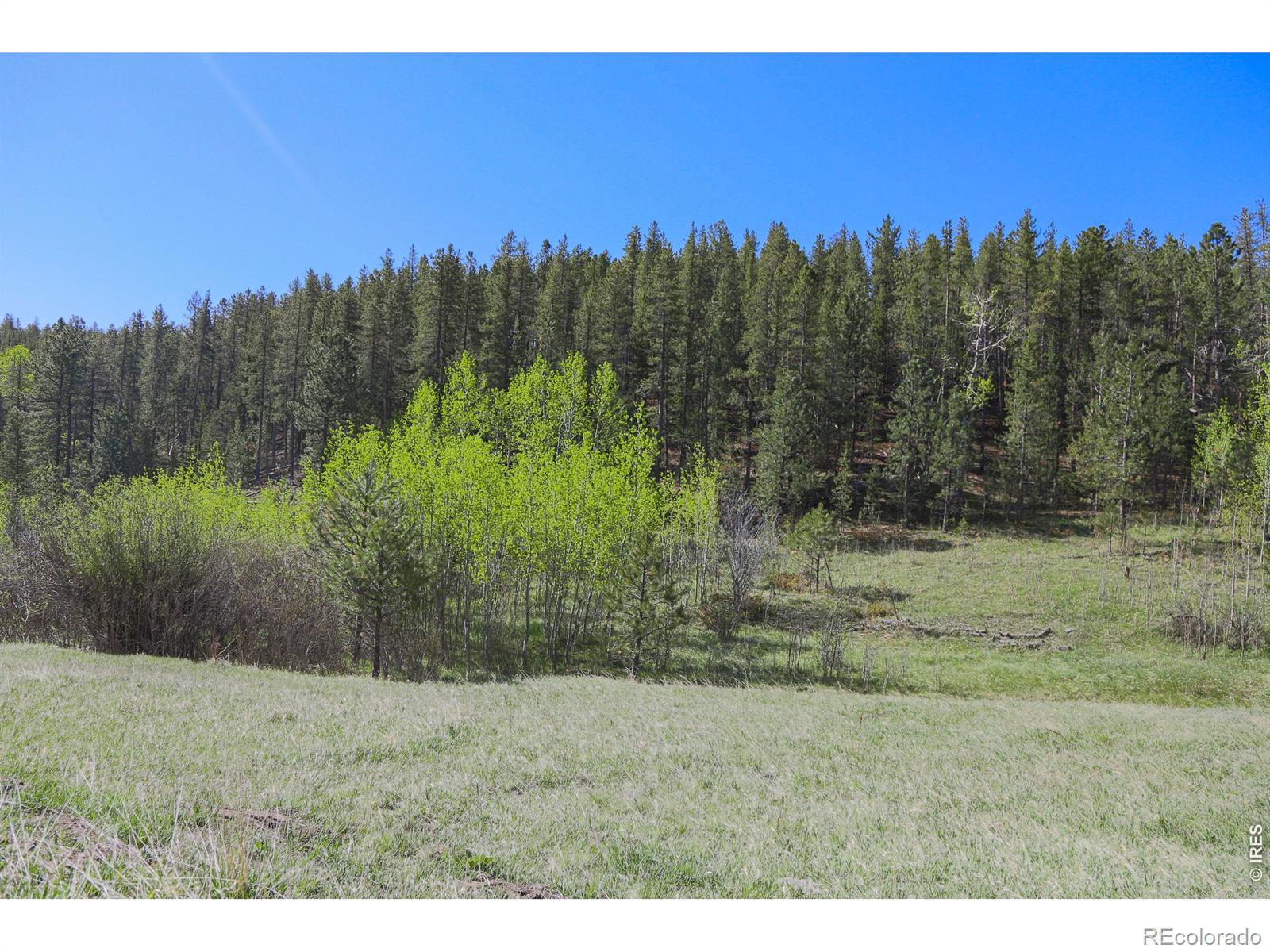 MLS Image #27 for 2900  pole hill road,estes park, Colorado