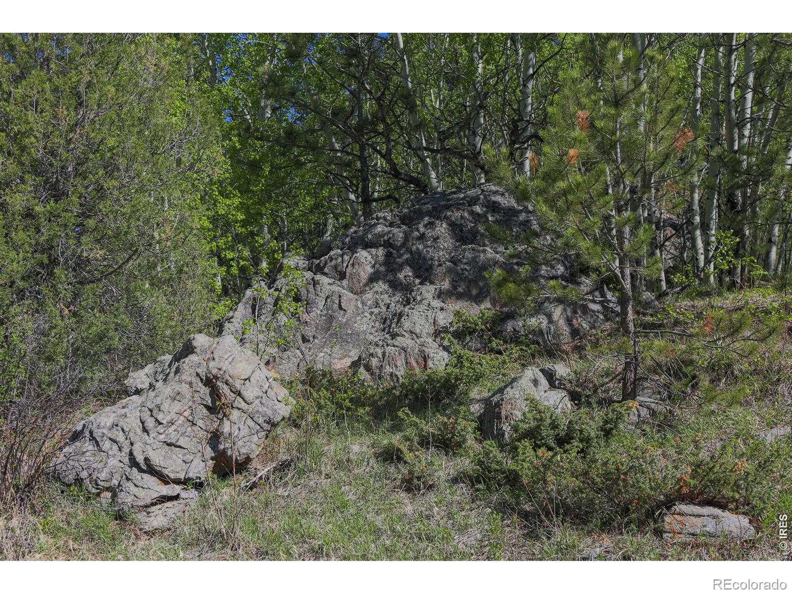 MLS Image #28 for 2900  pole hill road,estes park, Colorado
