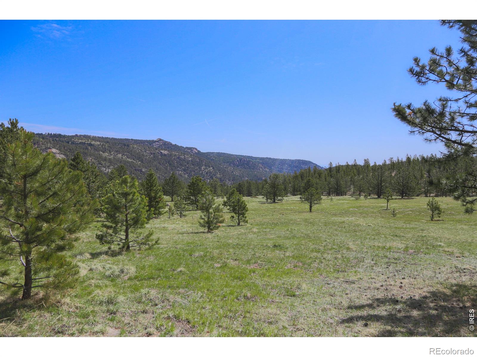 MLS Image #29 for 2900  pole hill road,estes park, Colorado
