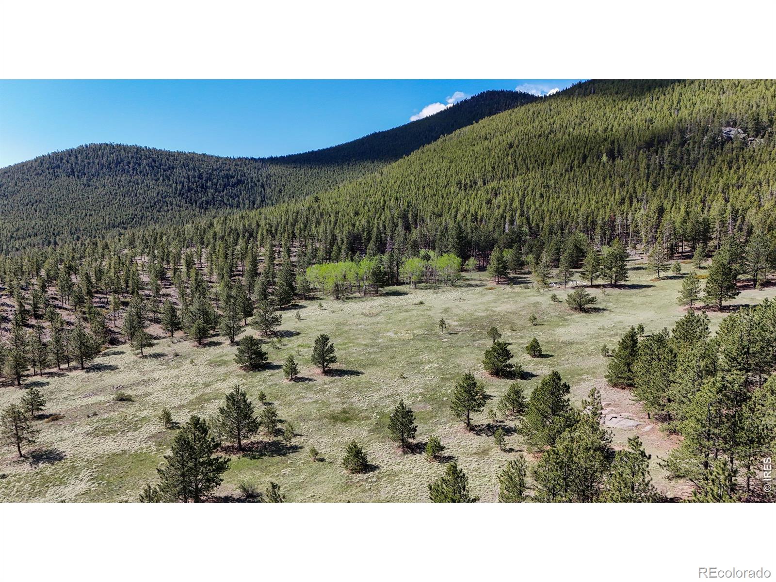 MLS Image #3 for 2900  pole hill road,estes park, Colorado