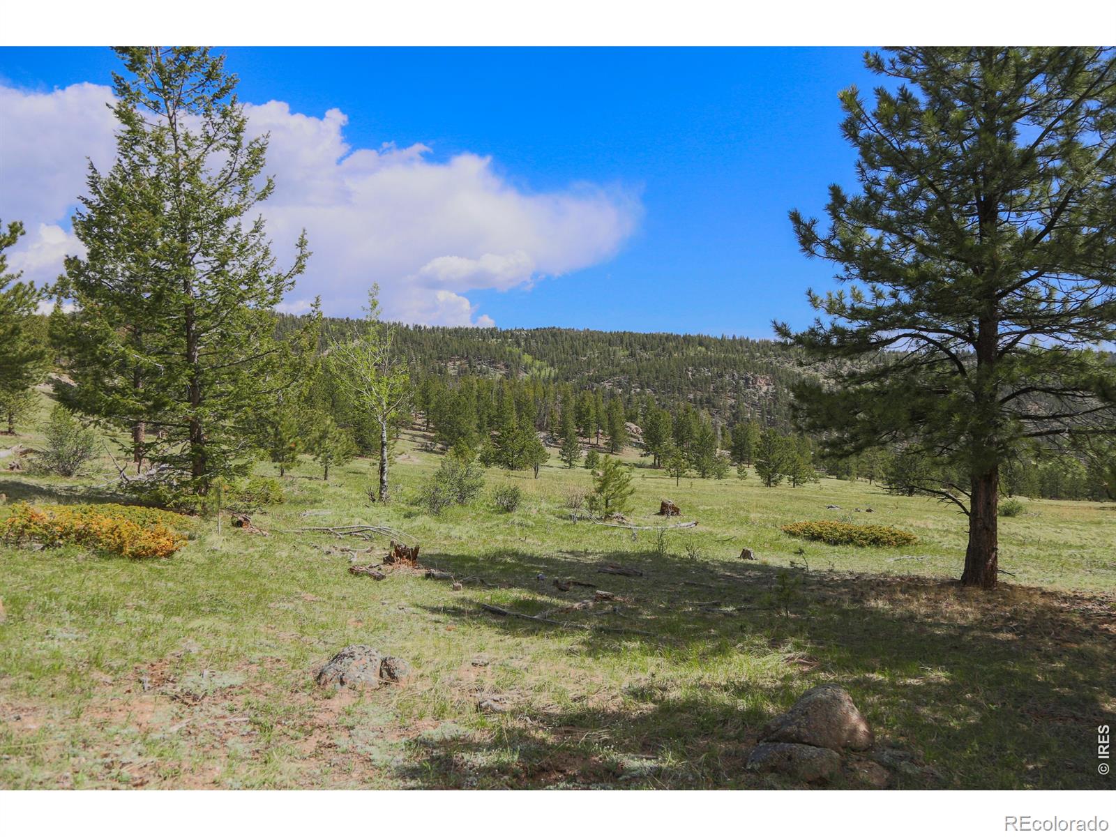 MLS Image #30 for 2900  pole hill road,estes park, Colorado
