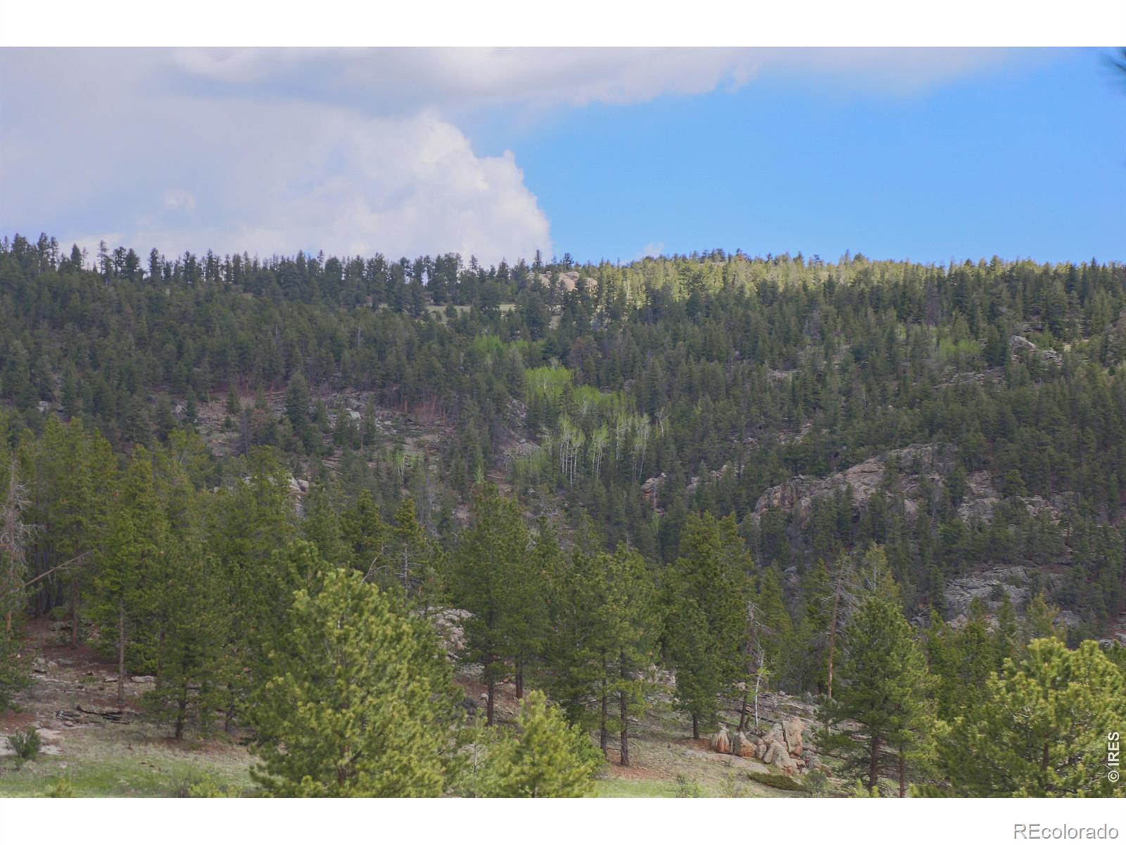 MLS Image #32 for 2900  pole hill road,estes park, Colorado