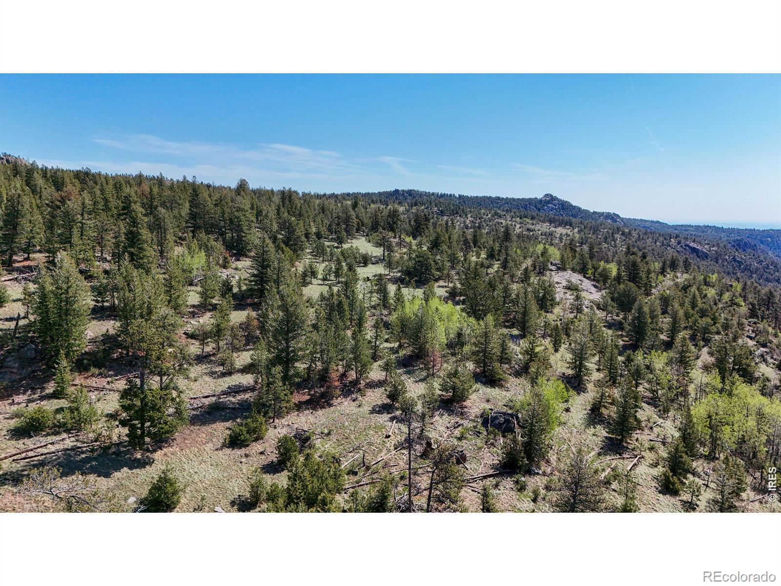 MLS Image #34 for 2900  pole hill road,estes park, Colorado