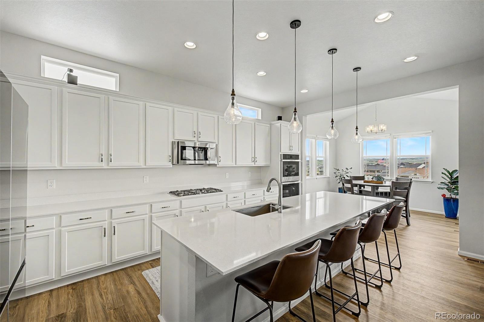 MLS Image #6 for 8836  snake river street,littleton, Colorado