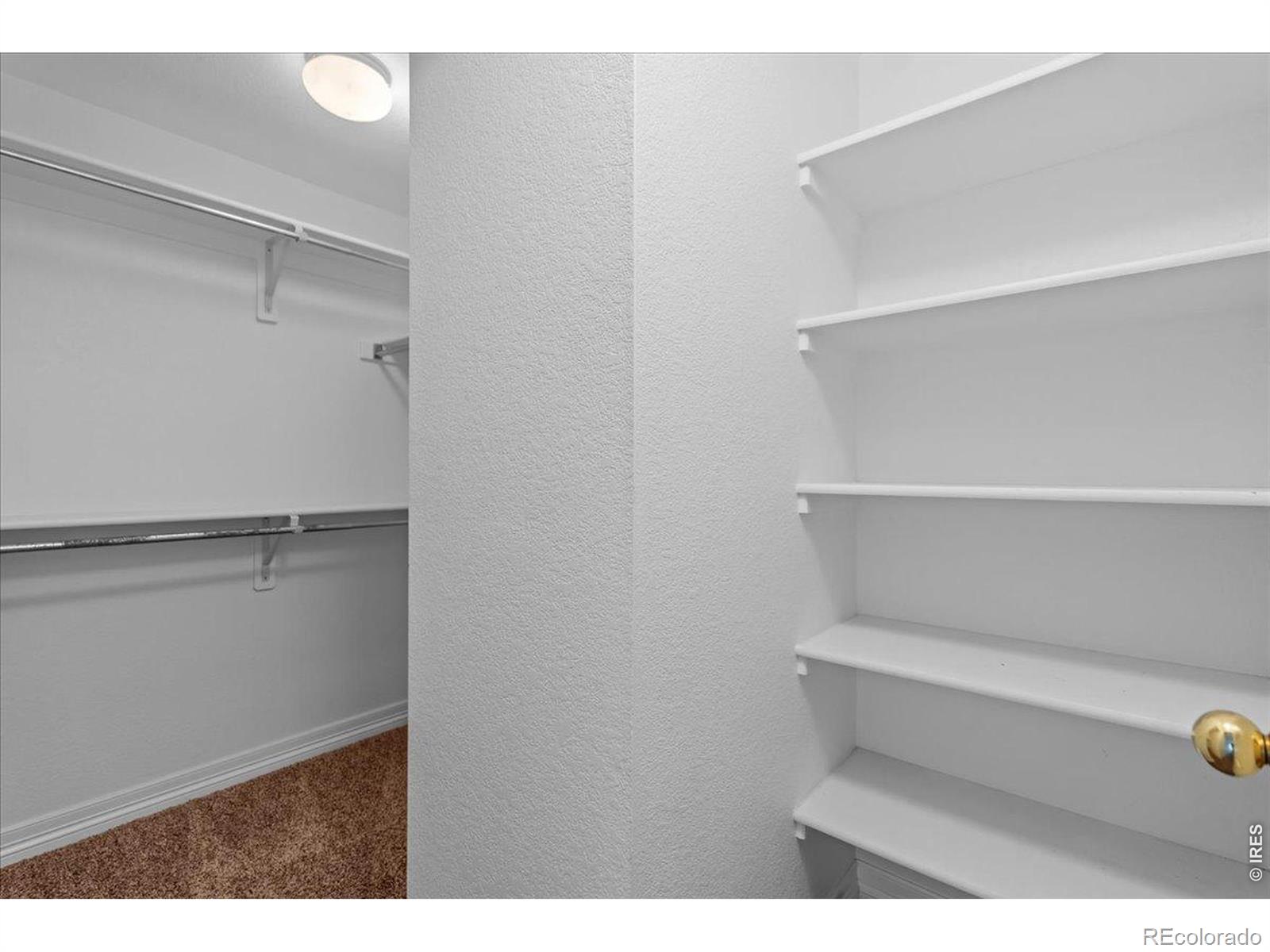 MLS Image #26 for 1014  andrews peak drive,fort collins, Colorado