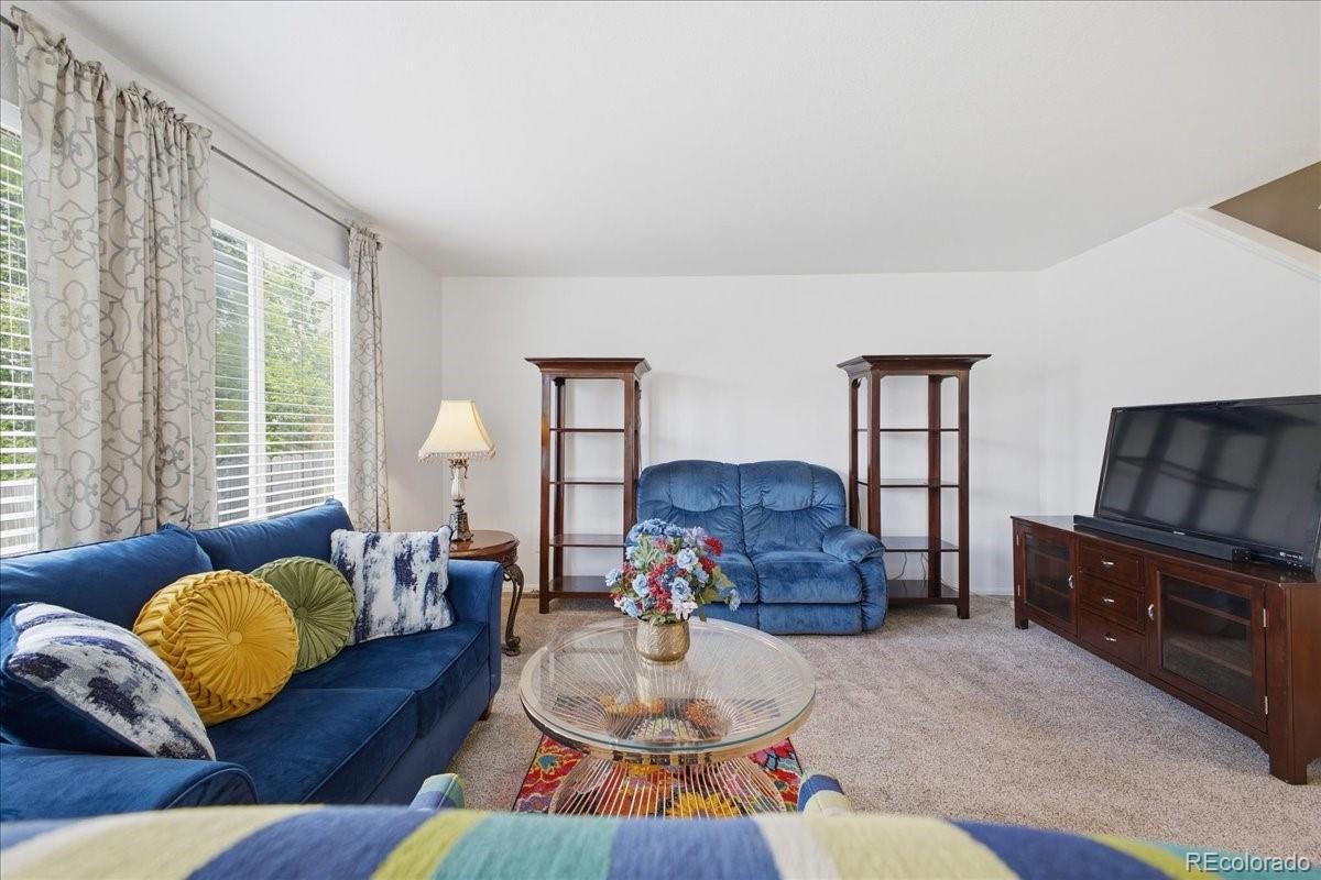 MLS Image #10 for 14363 e 47th drive,denver, Colorado