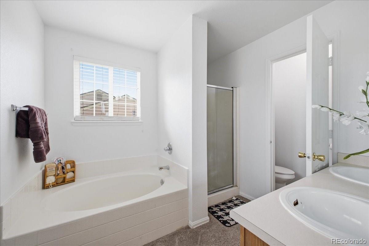 MLS Image #19 for 14363 e 47th drive,denver, Colorado