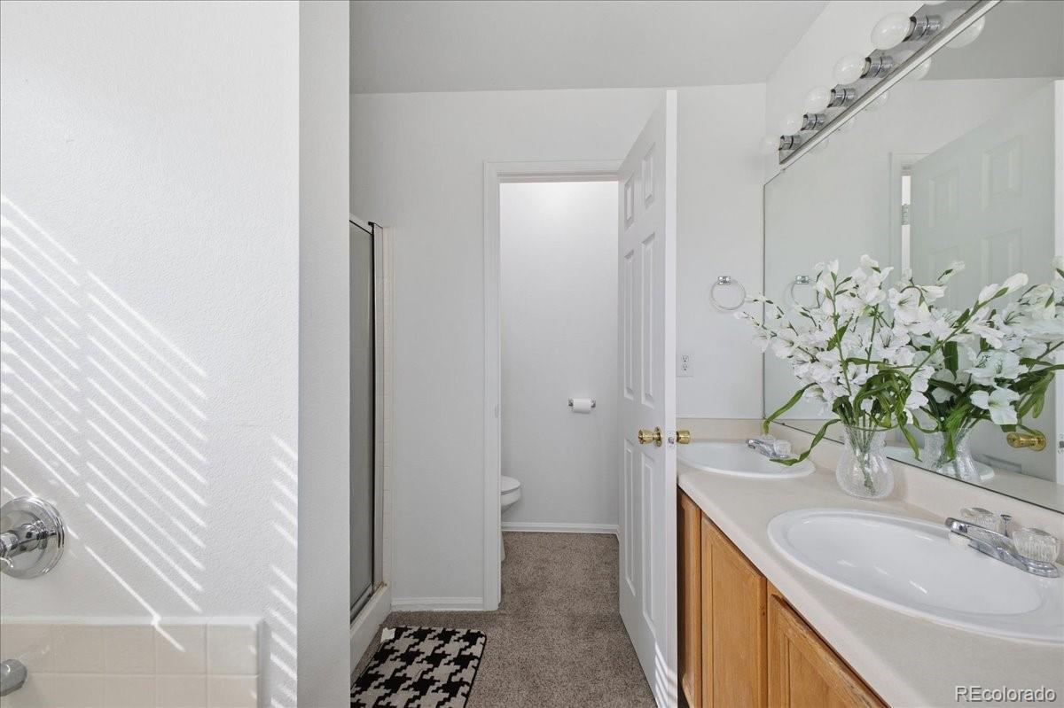 MLS Image #24 for 14363 e 47th drive,denver, Colorado