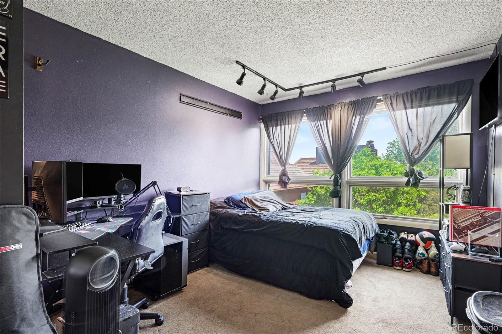 MLS Image #11 for 4483  juniper court,larkspur, Colorado