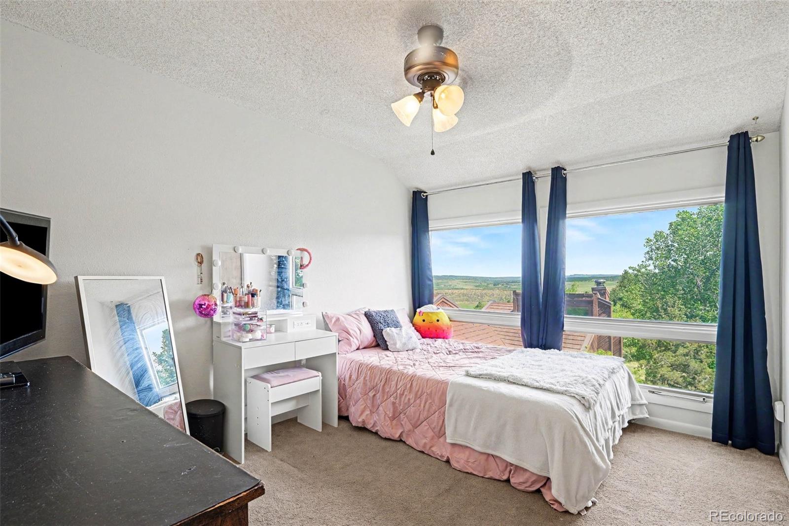 MLS Image #18 for 4483  juniper court,larkspur, Colorado